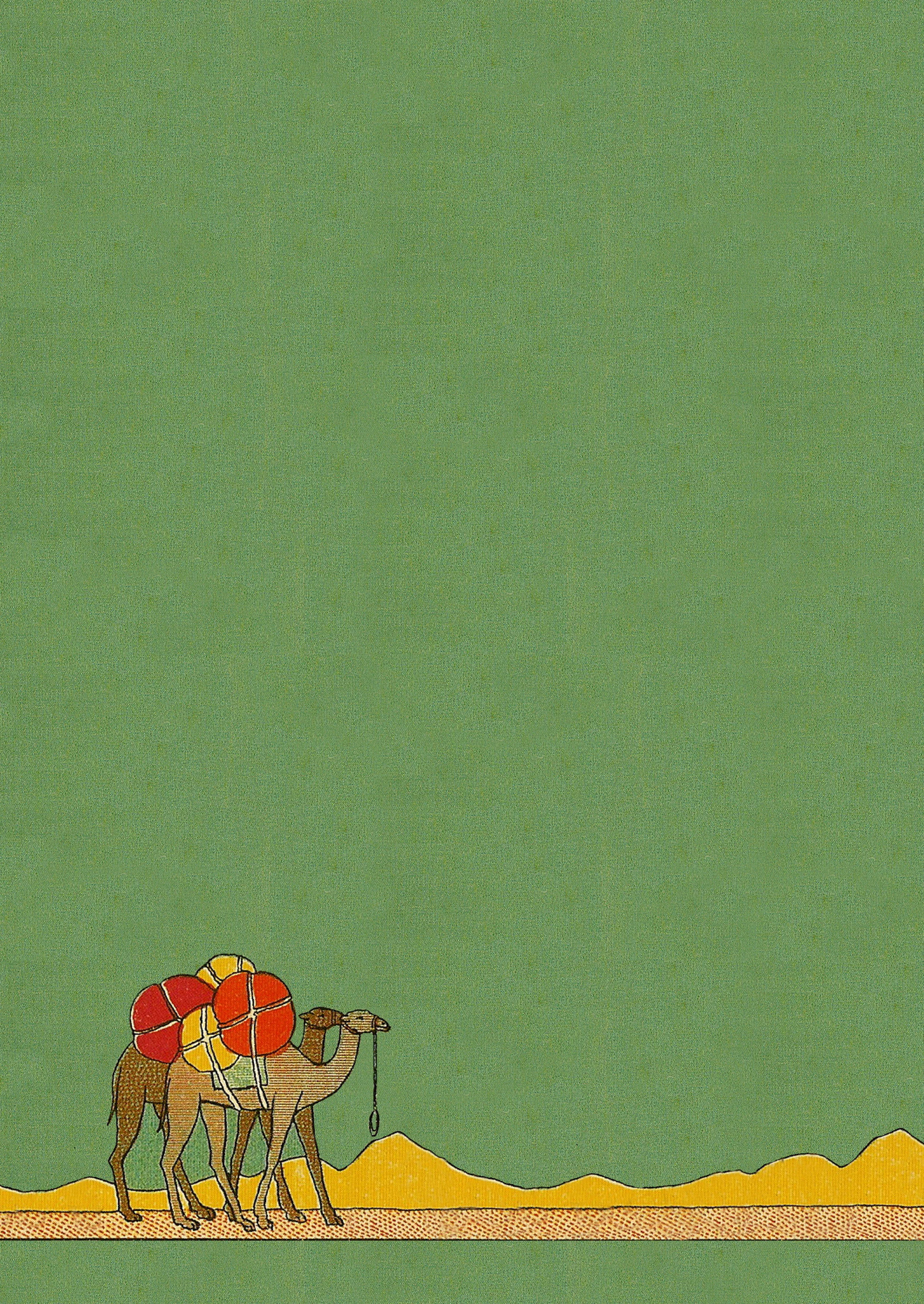 camels2.jpg