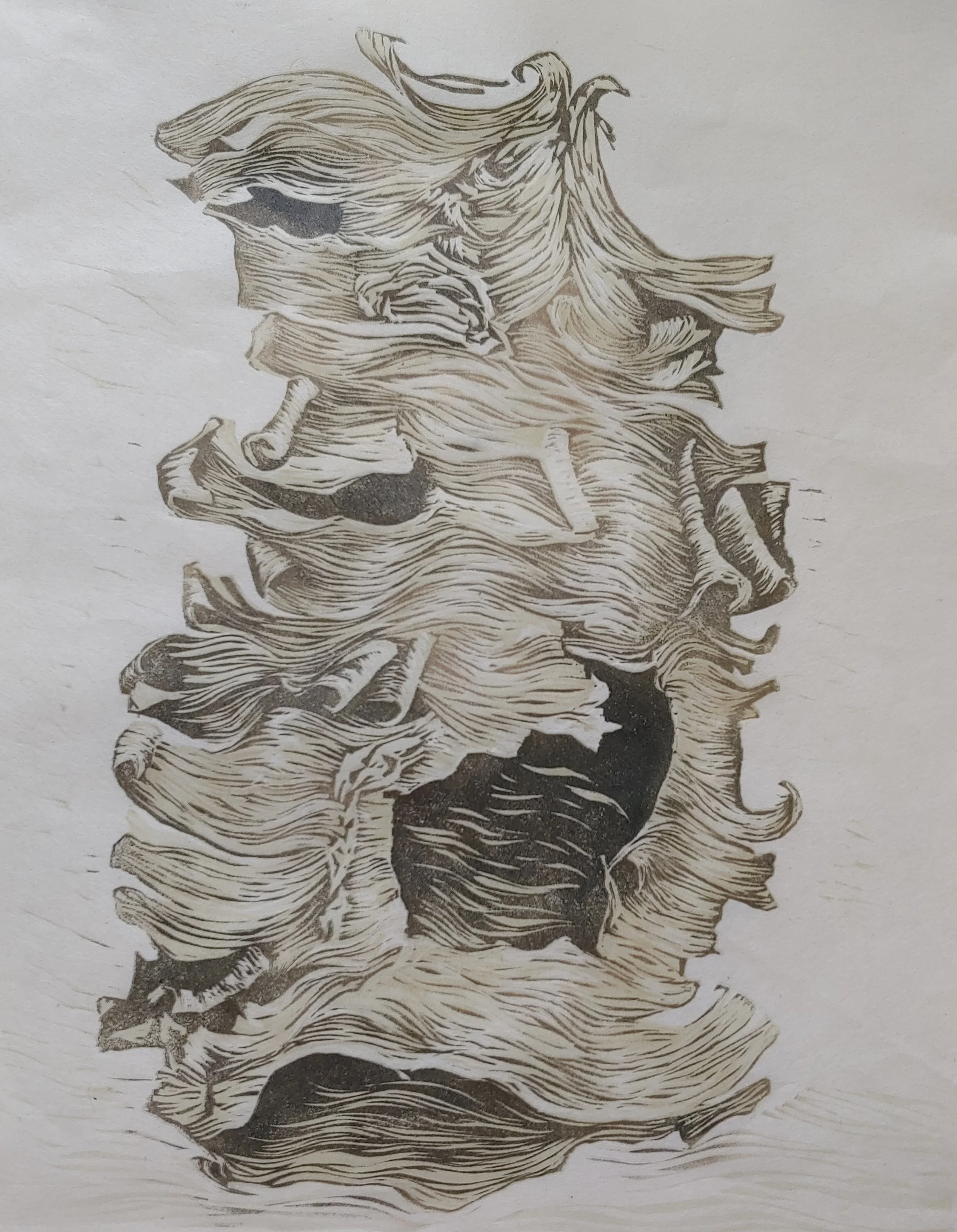 20230423_152652.jpg