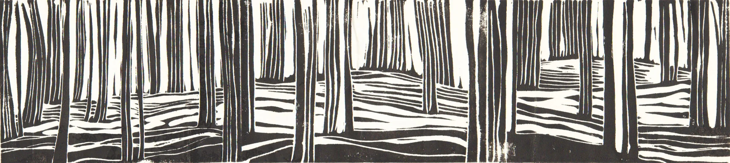 woods.jpg