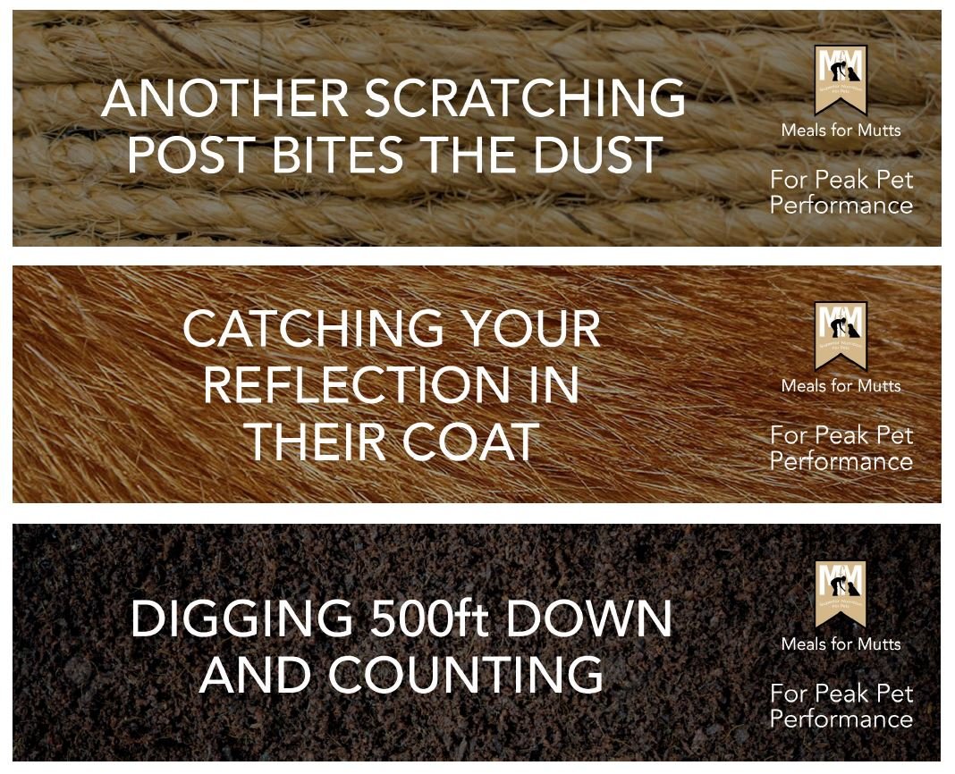 For Peak Pet Performance