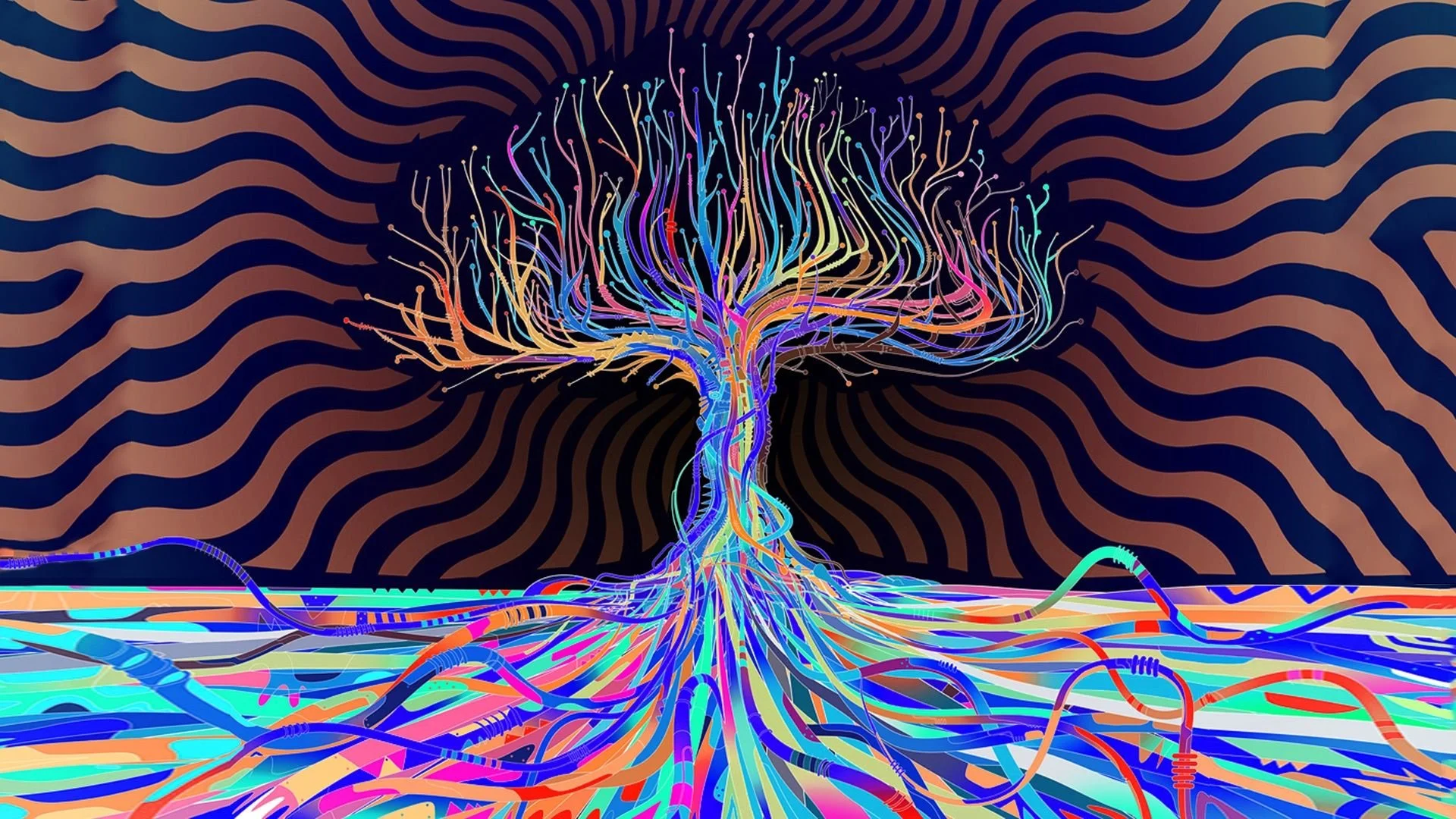 e2405a9950f22278a518a41dfc42e8ad.jpg