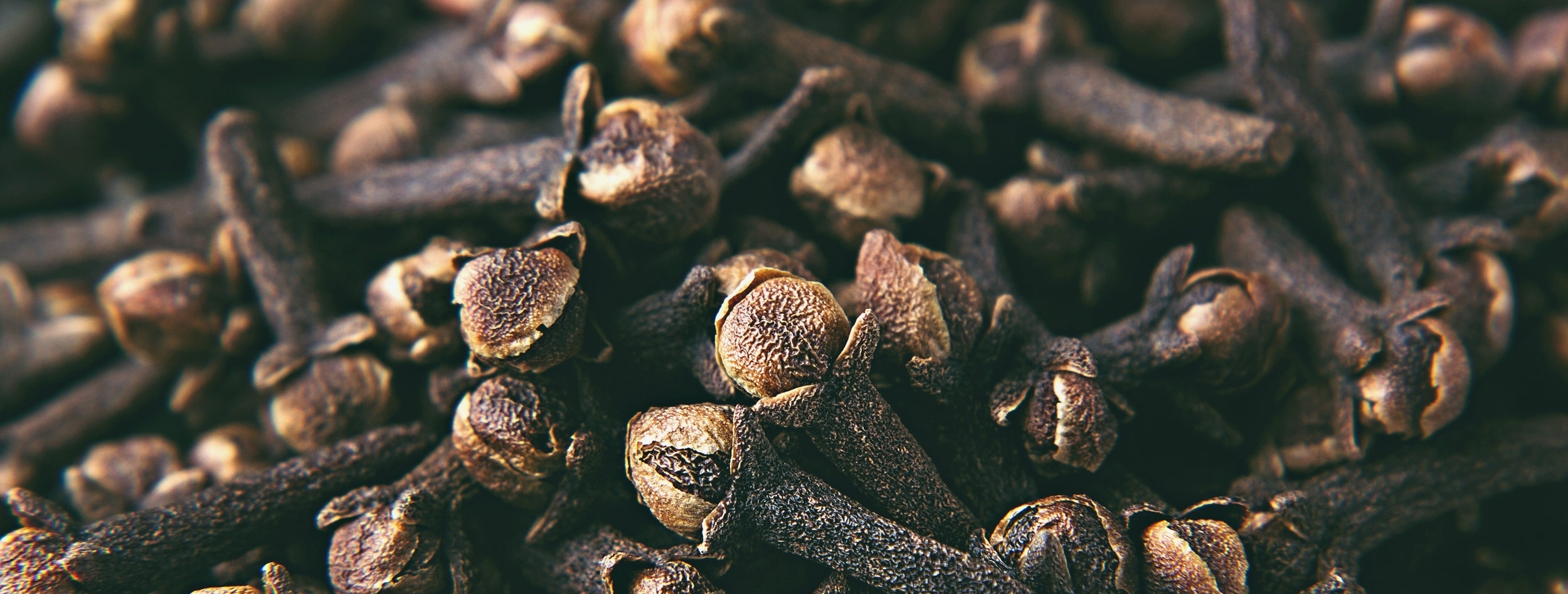AdobeStock_128569062-edit.jpg