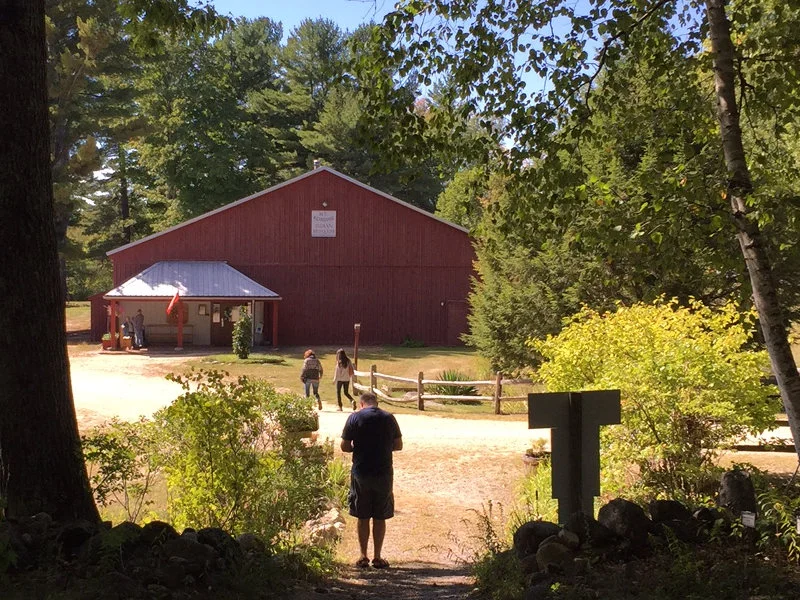 Visitors walking from the Medicine Woods trail toward the museum