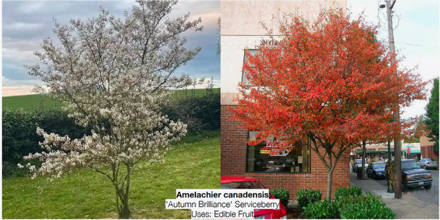 Celebrating the New Arboretum Addition
