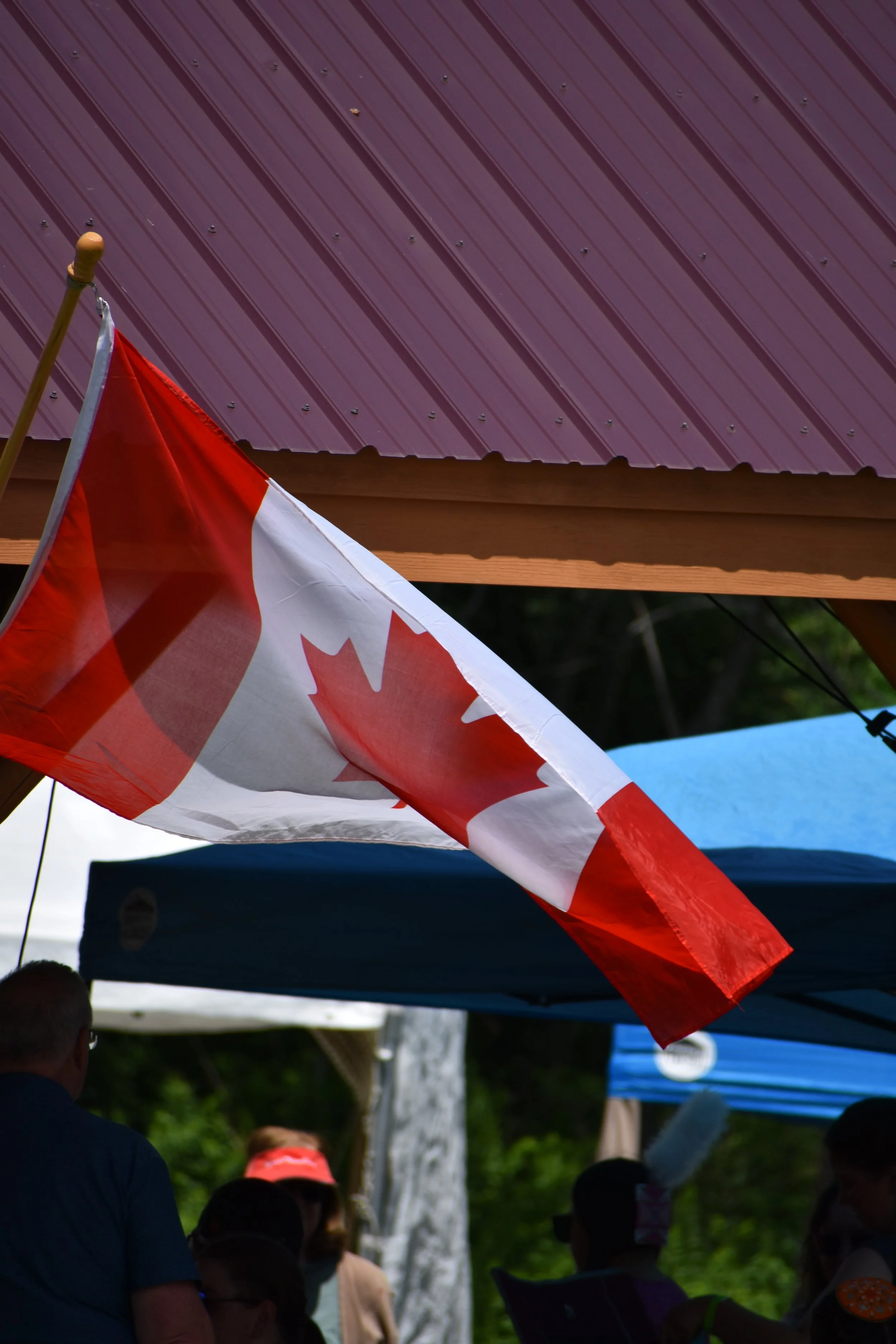 DSC_0233.JPG