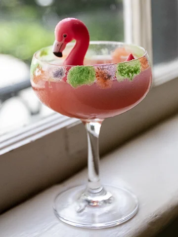 Andrew_Laura cocktail360.jpg