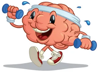 brain.jpg