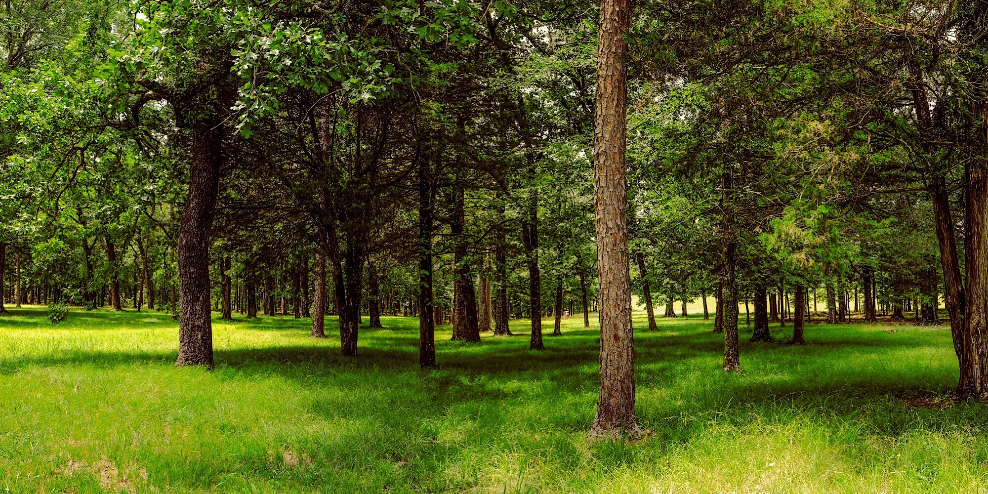 Summer at Chickamauga composite photograph, (Click to enlarge)