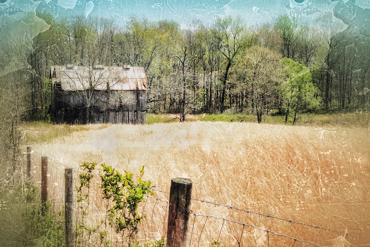Golden Spring