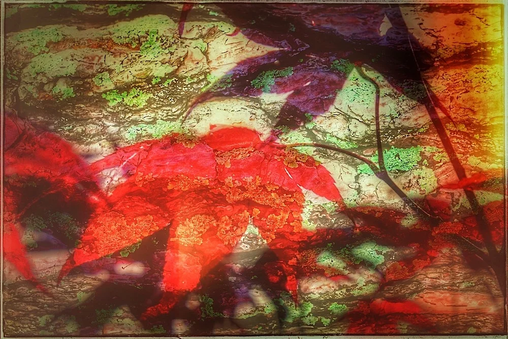 A composite photograph made from bits of Tennessee and Georgia. Click to enlarge.