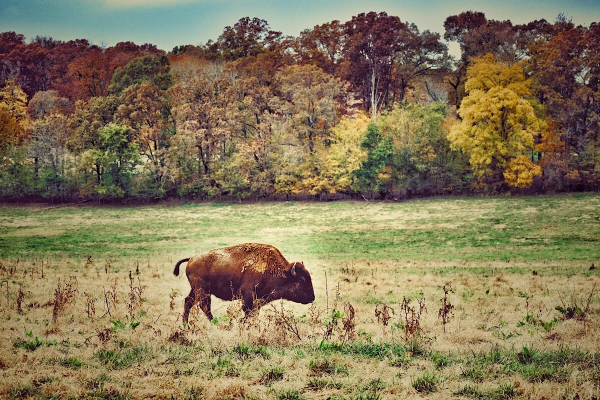 Approaching Winter. (click to enlarge)