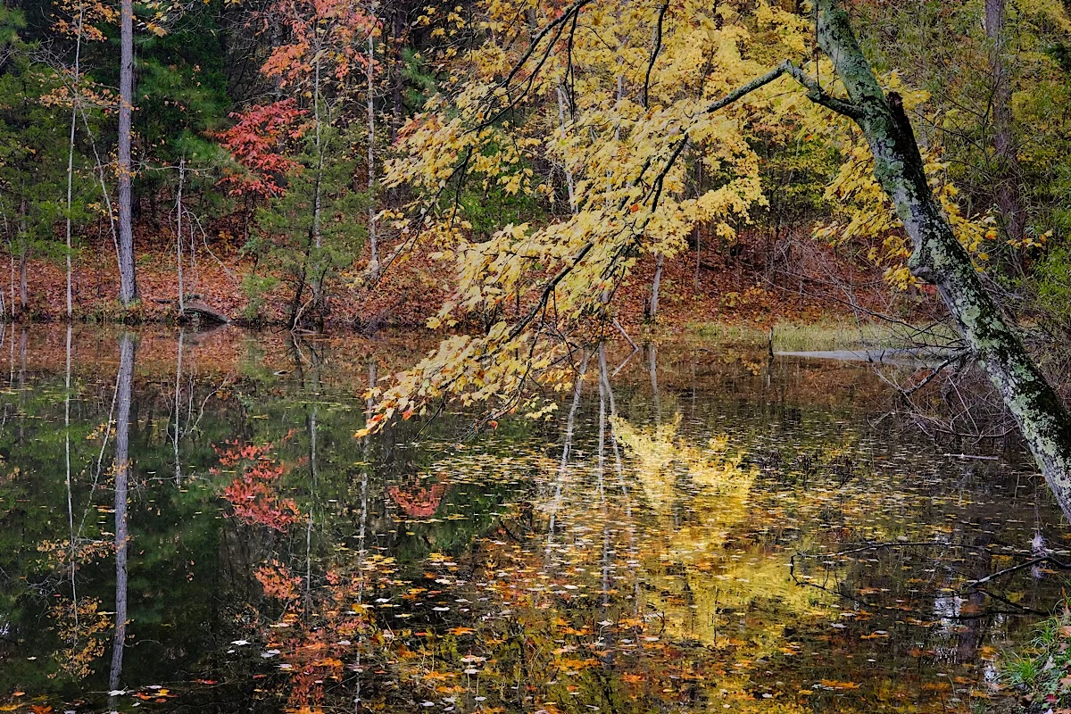 Touching Water. (click to enlarge)