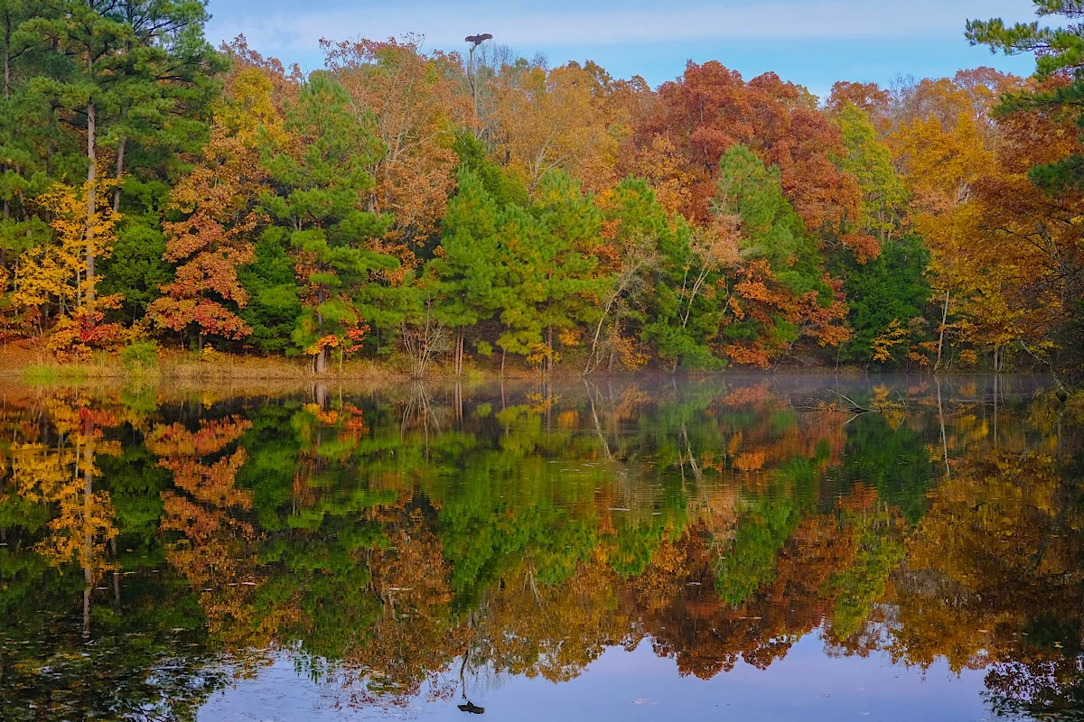 Autumn at Golden Pond. (click to enlarge)