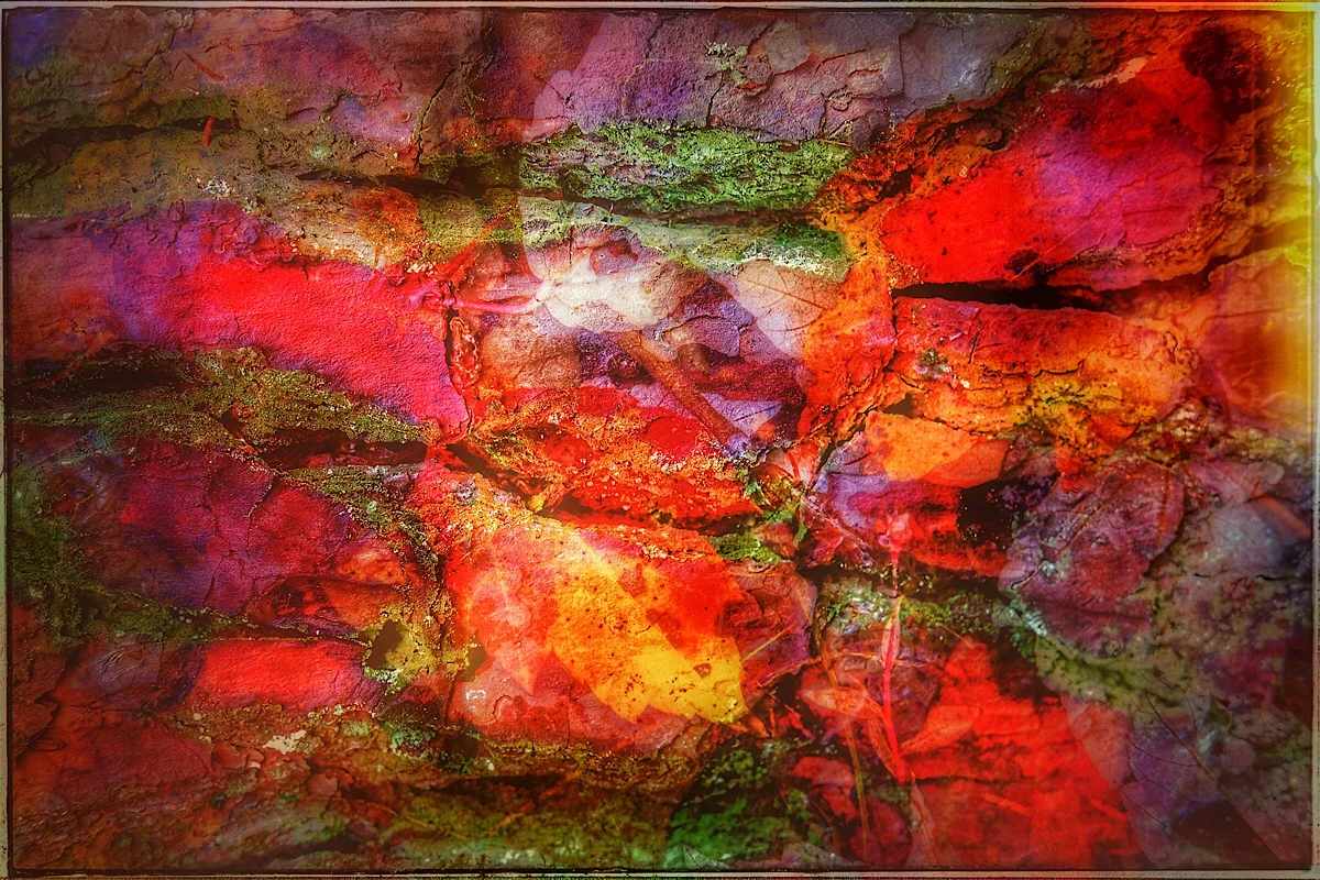 Chimera No. 7. (click to enlarge)