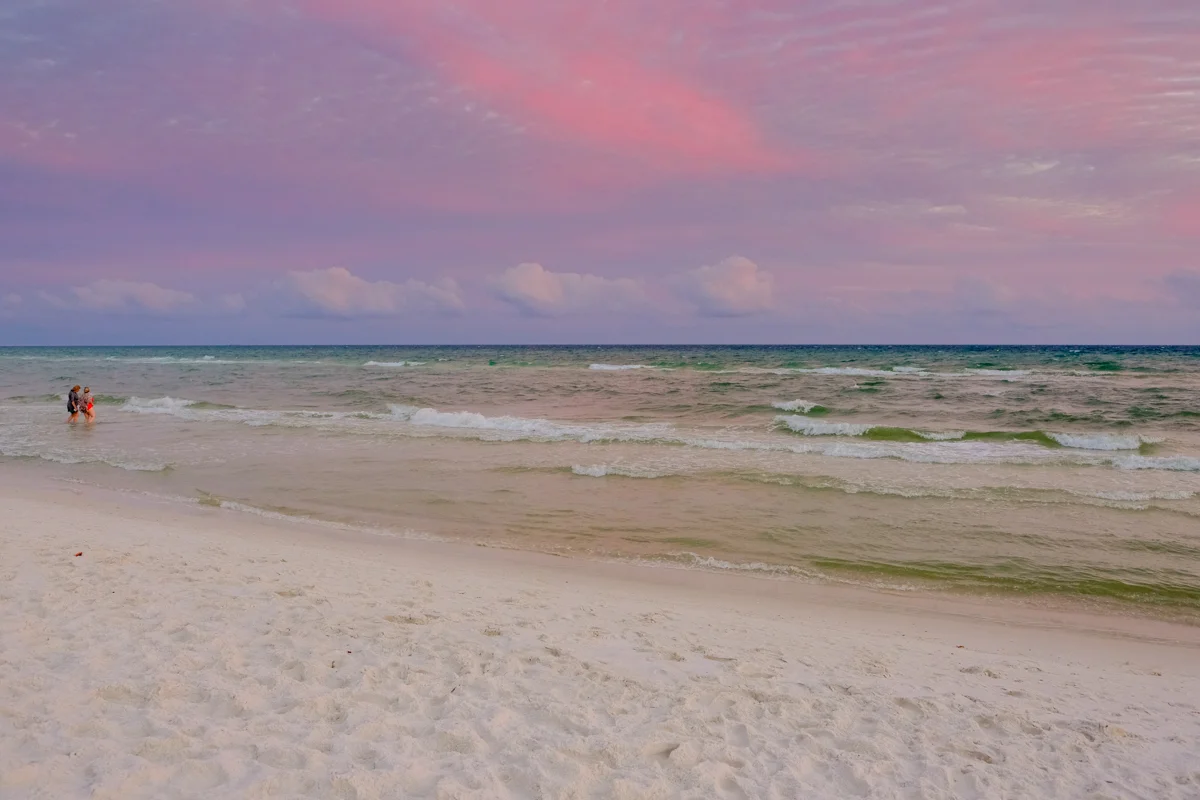 In the Pink. (click to enlarge)