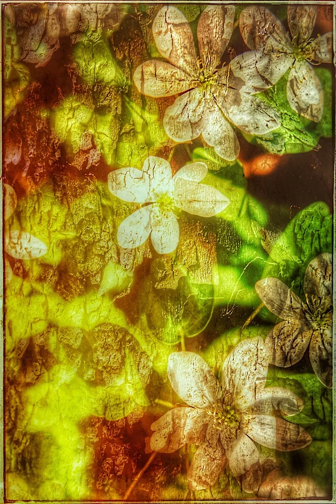 Baroque. (click to enlarge)