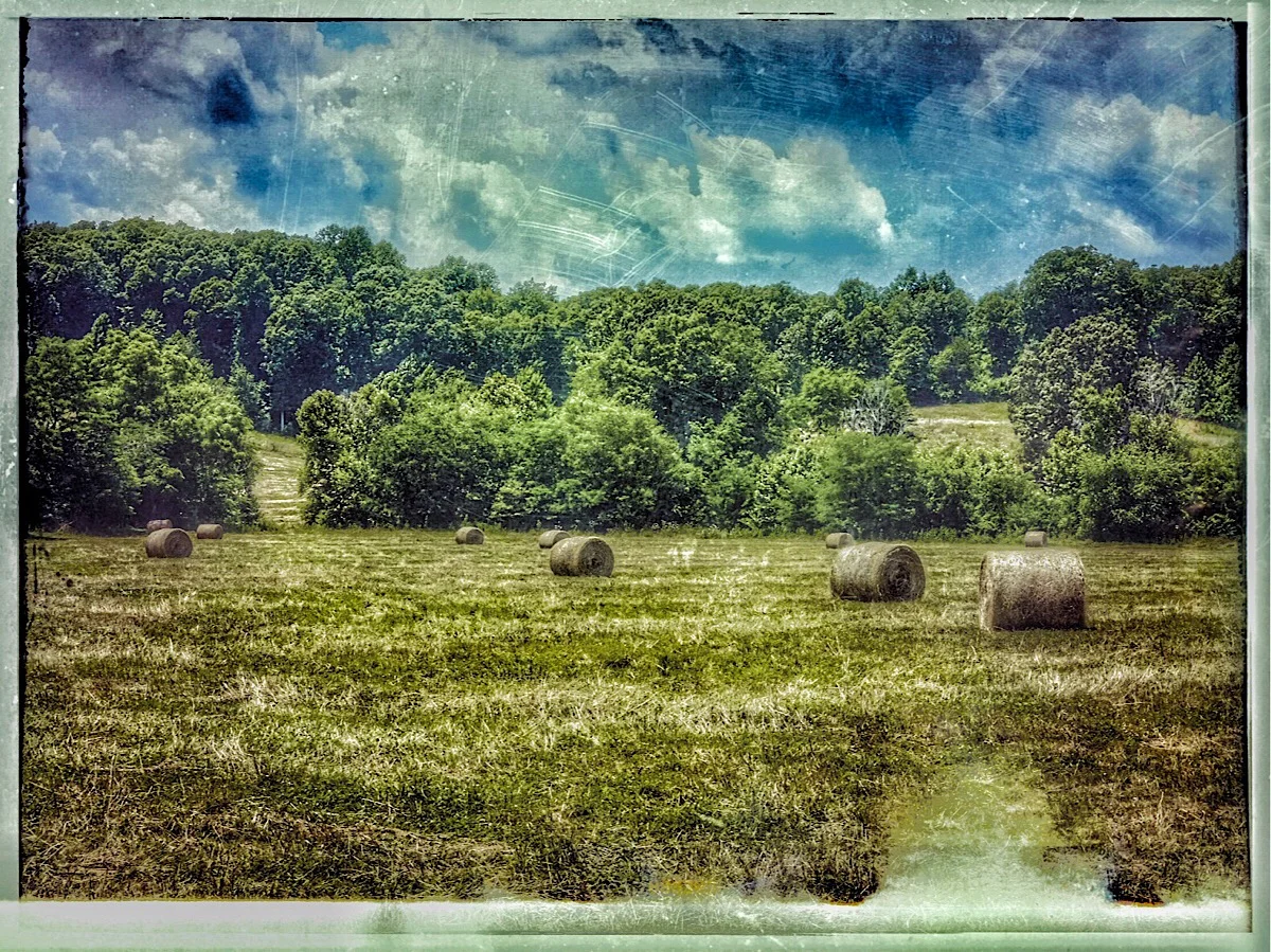 Hay Rolls New 1200px.jpg