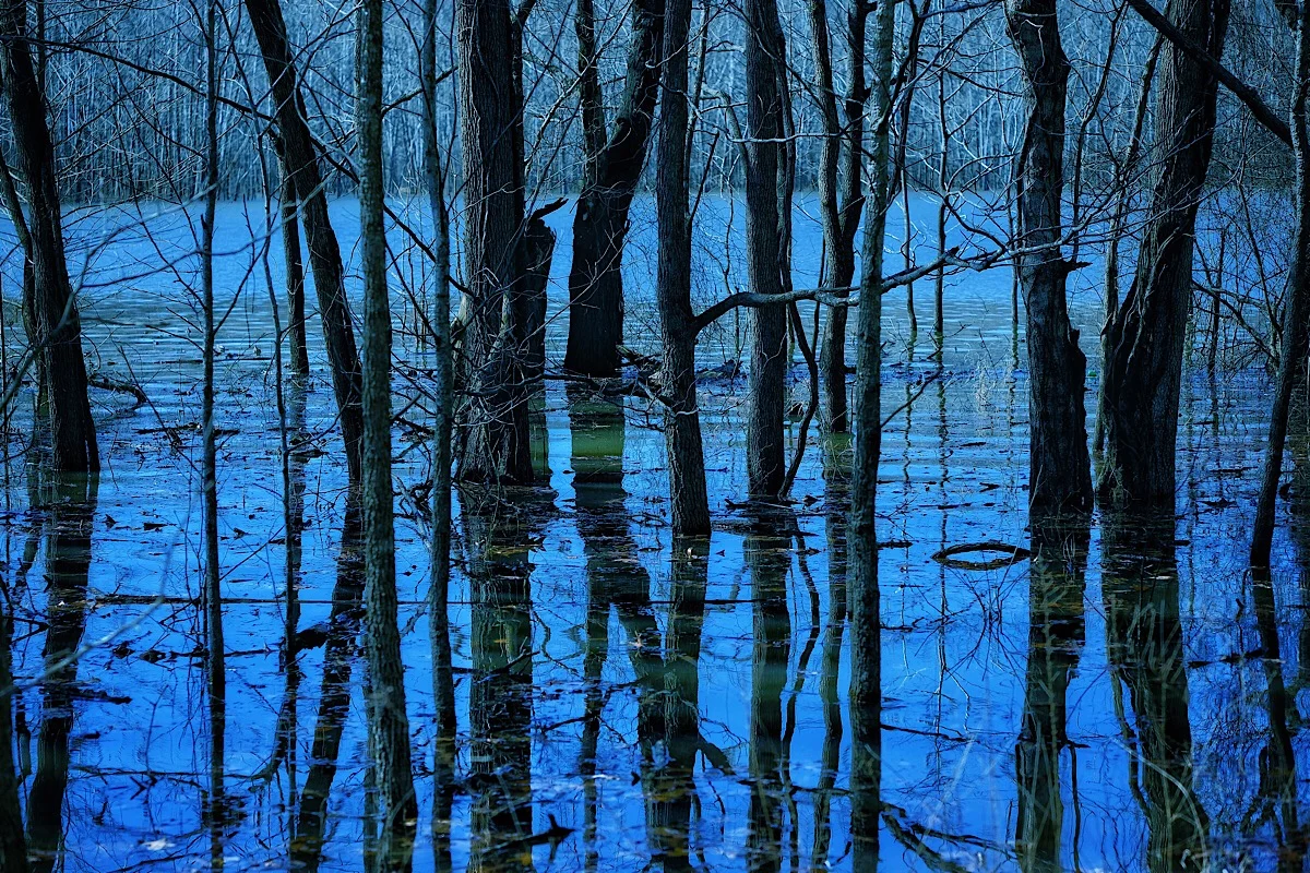 Blue Biyou.jpg