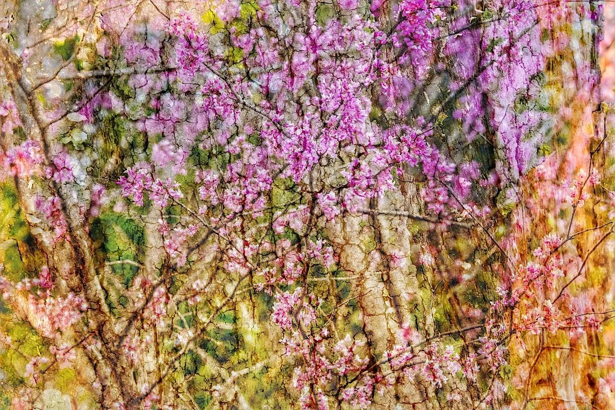 The artist in island blossoms.jpg