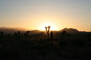 IMG_3306-300x200.jpg
