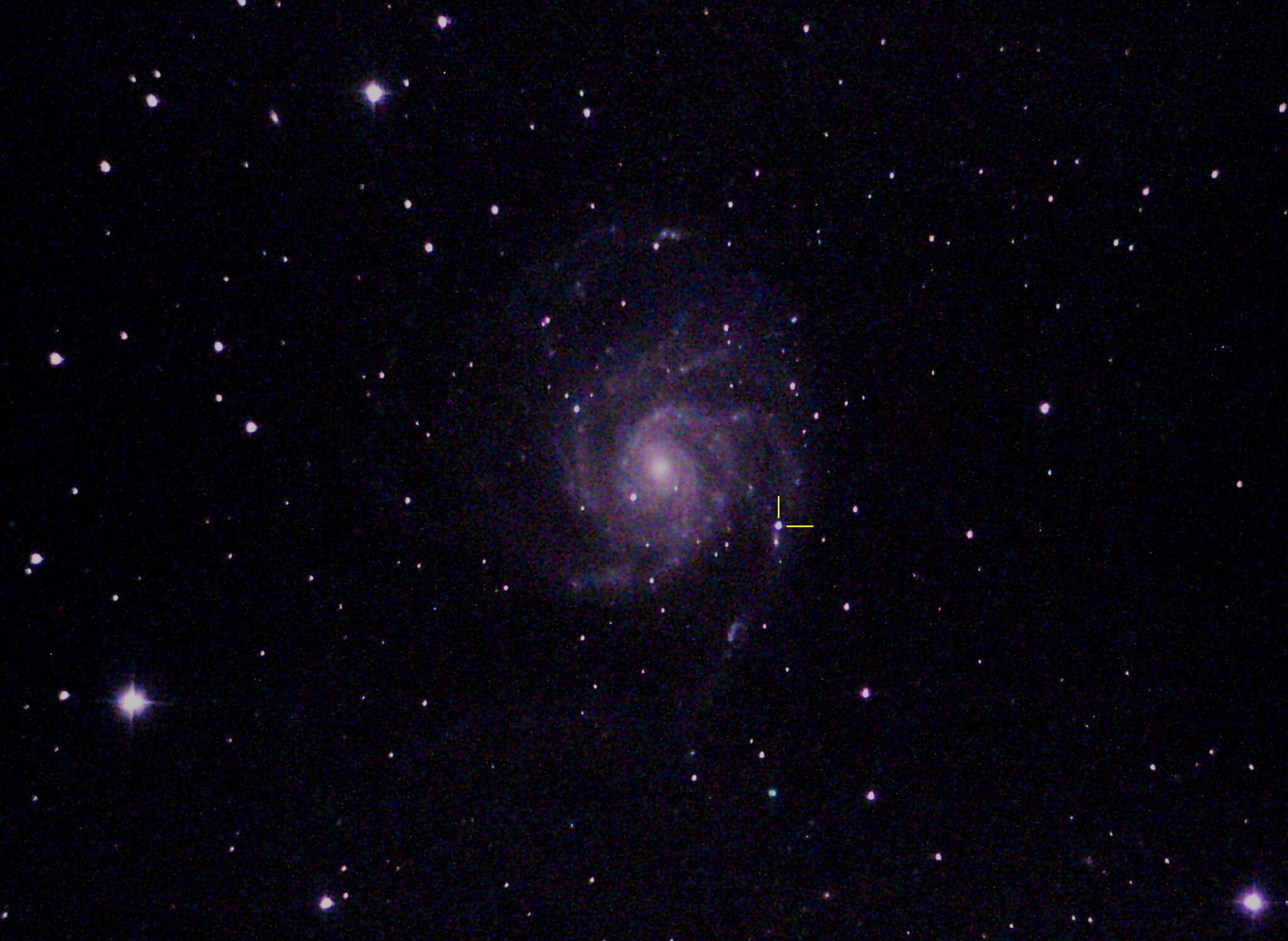 SN 2023ixf M101 - Bill Rujevcan