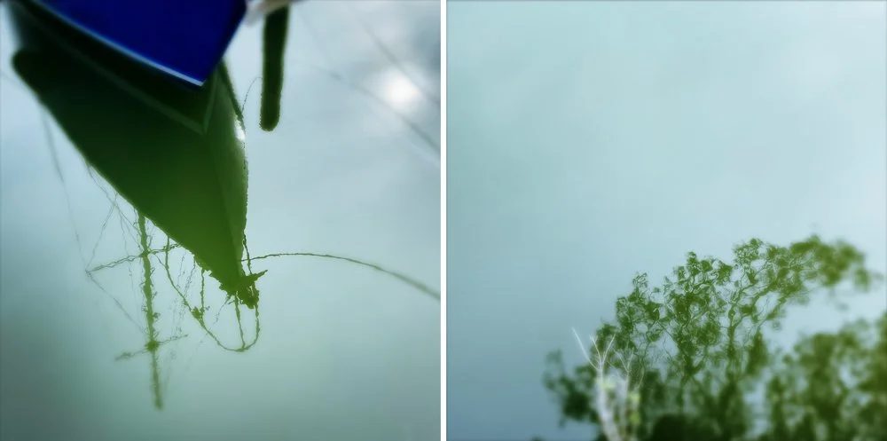 Diptych_Boat_Tree Reflection in Water.jpg