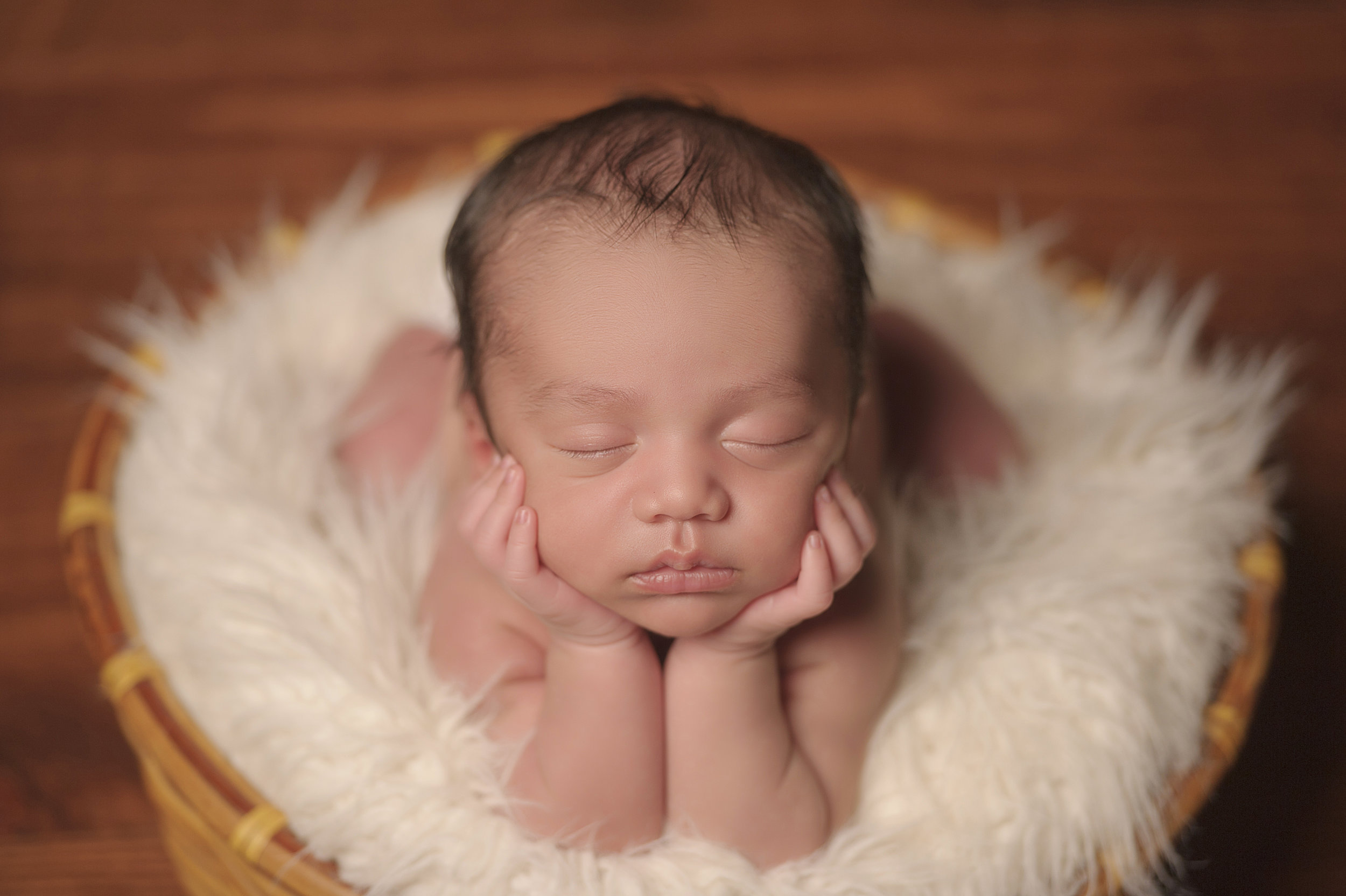 CHICAGO-BEST-NEWBORN-PHOTOGRAPHER-SRI-JANA-11.jpg