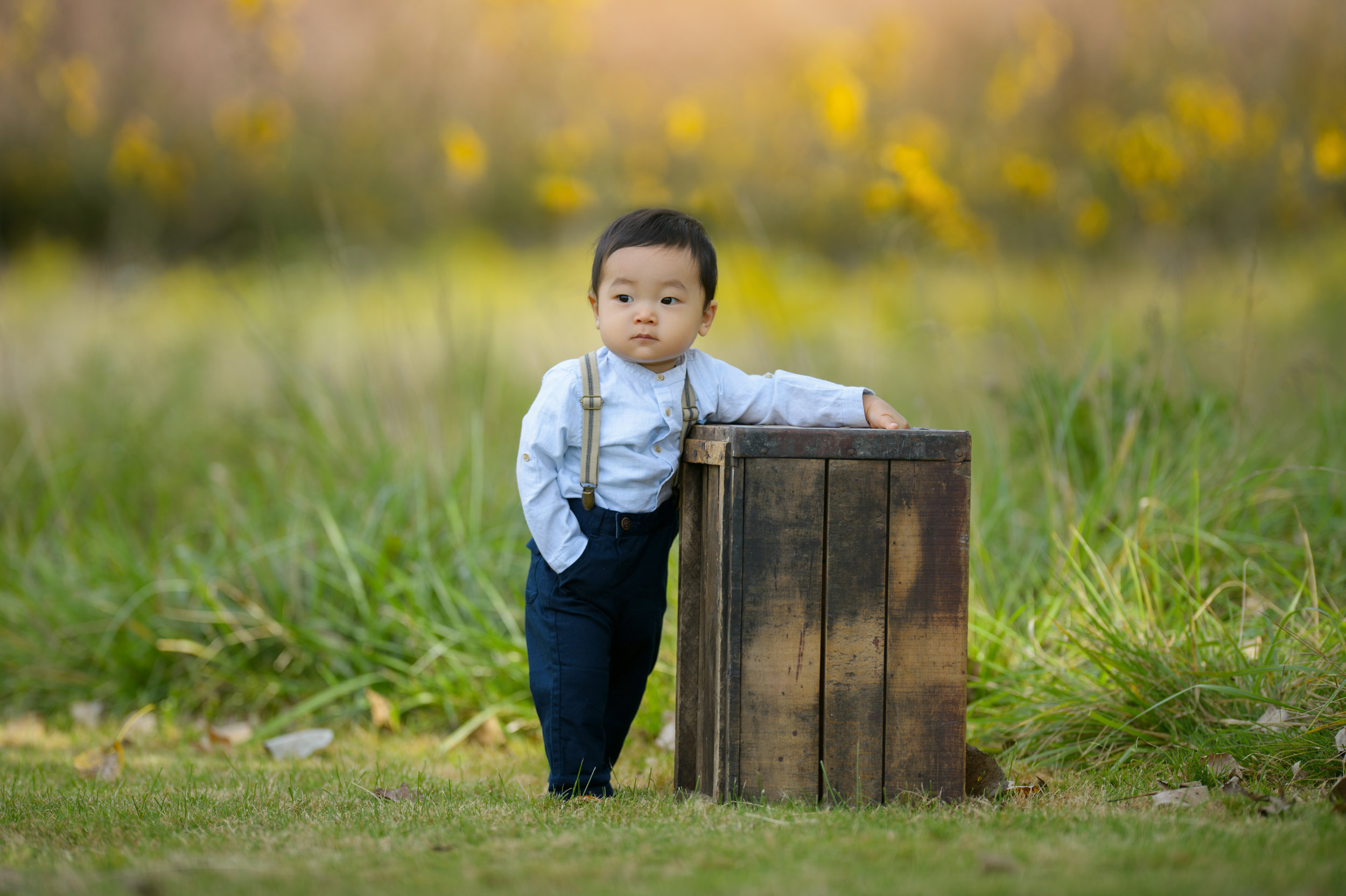 Cute baby photoshoot in Chicago by Sri and Jana Photography