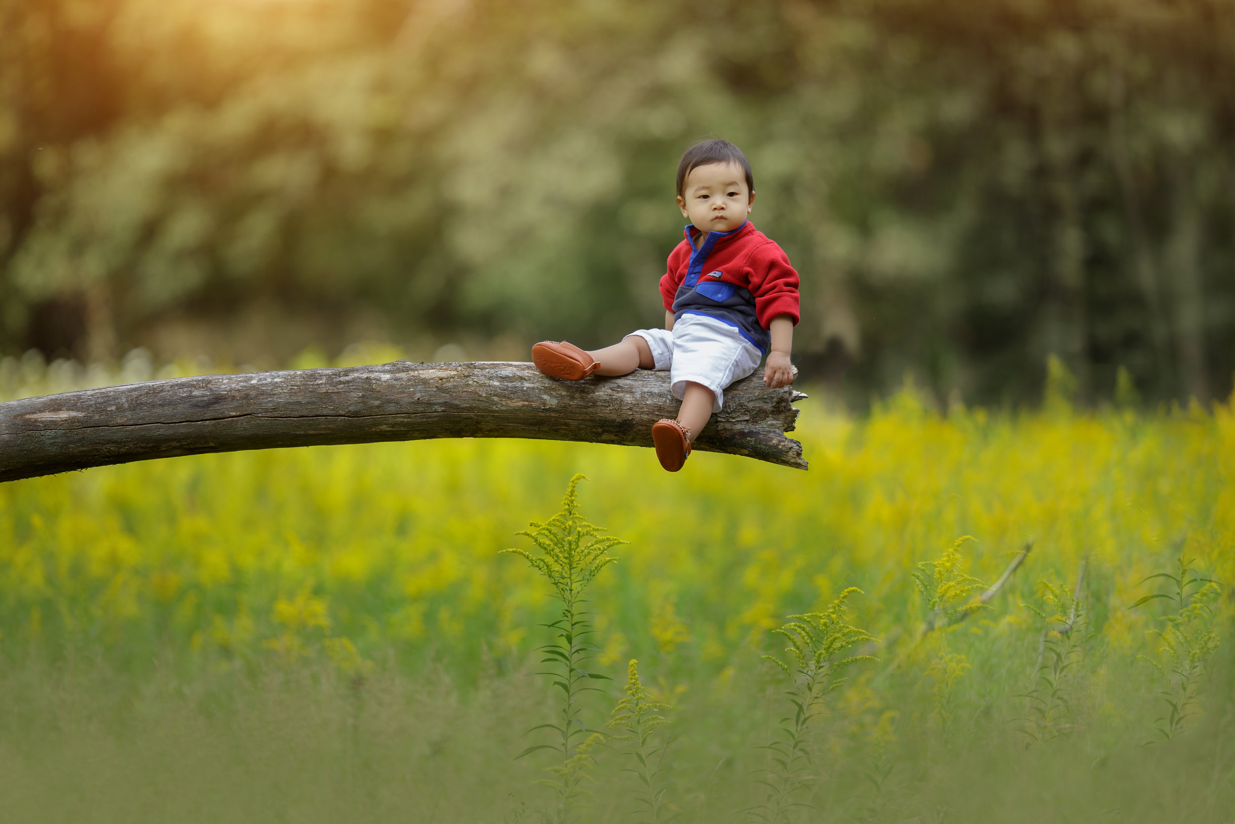 Cute baby photoshoot in Chicago by Sri and Jana Photography