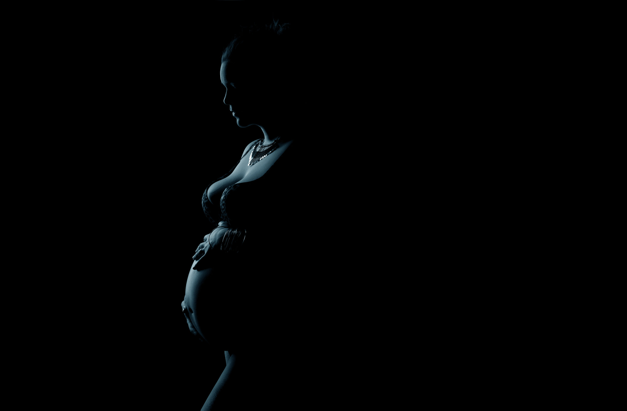 Black and White Silhouette Pregnancy Photos