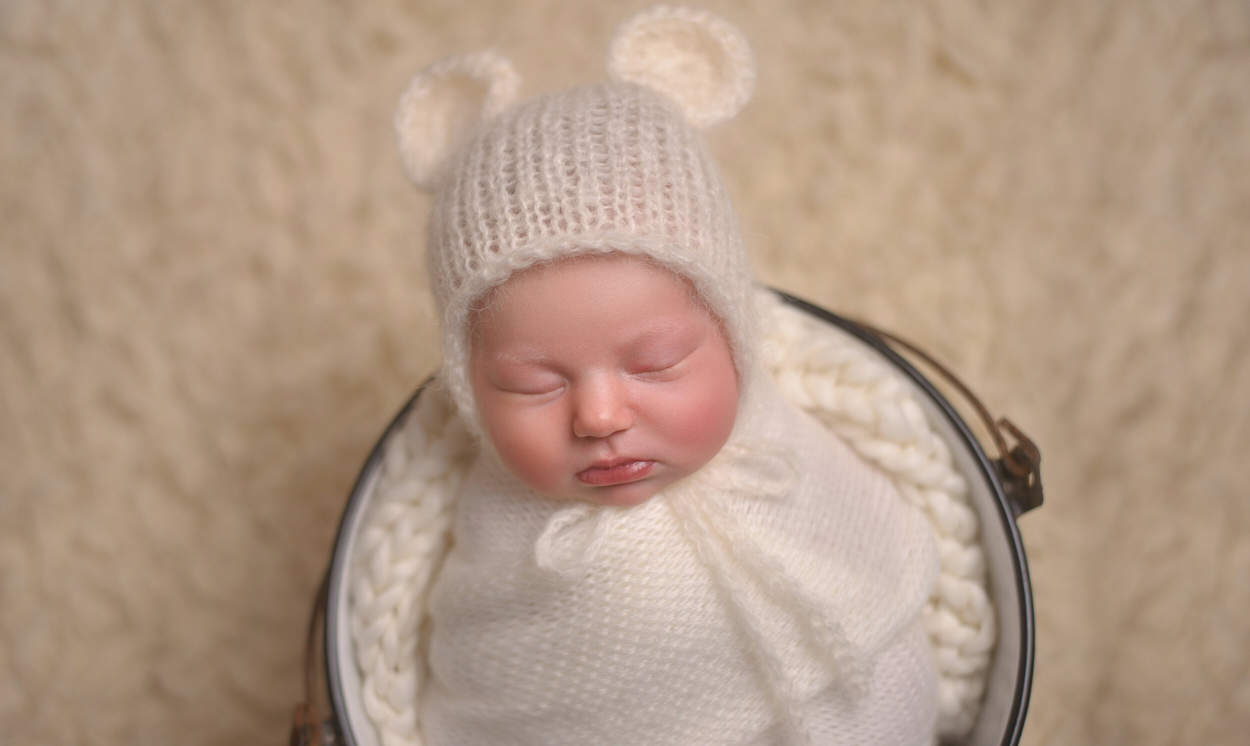 Best Chicago Newborn Photographers