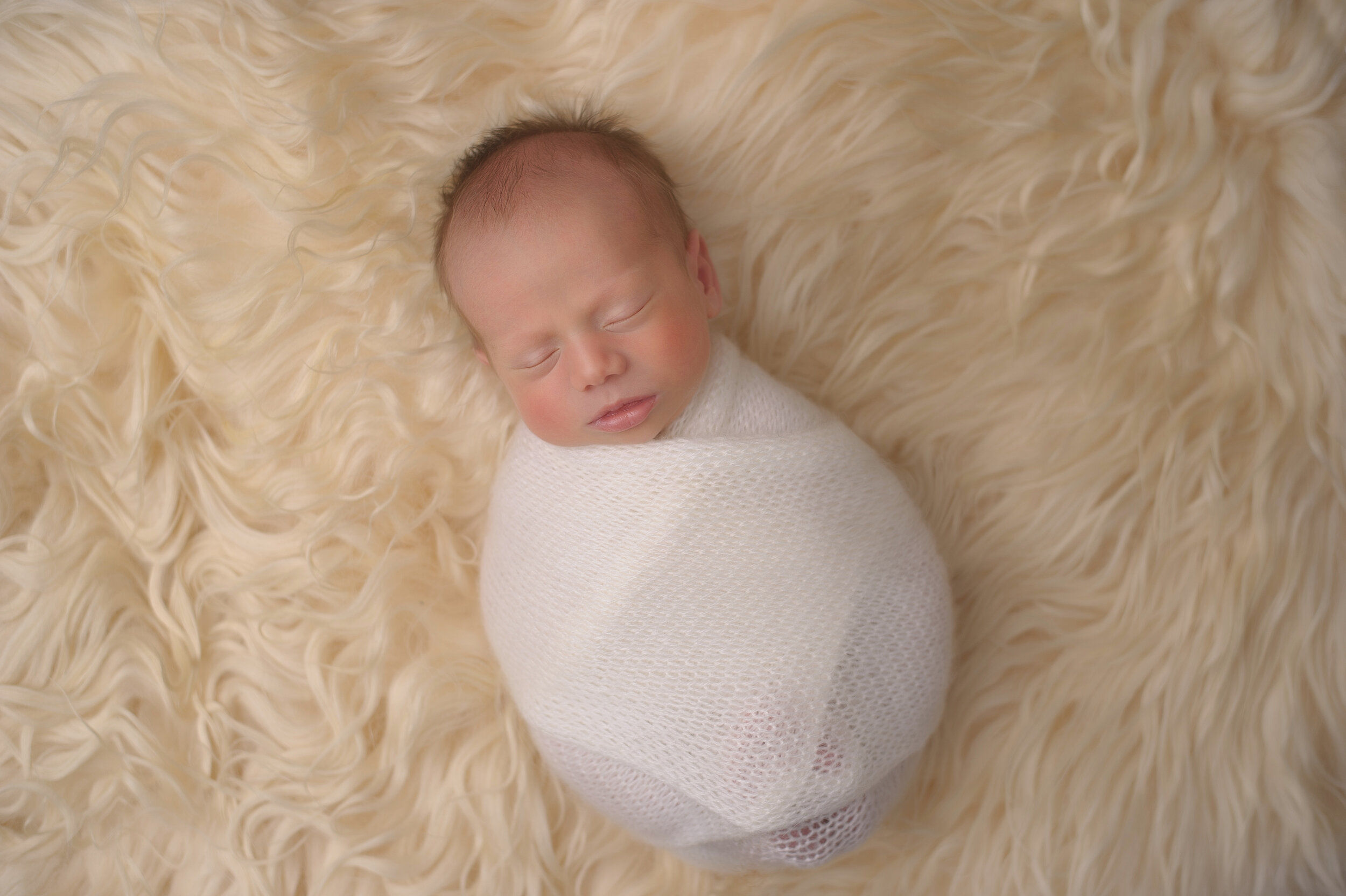 Best Chicago Newborn Photographers