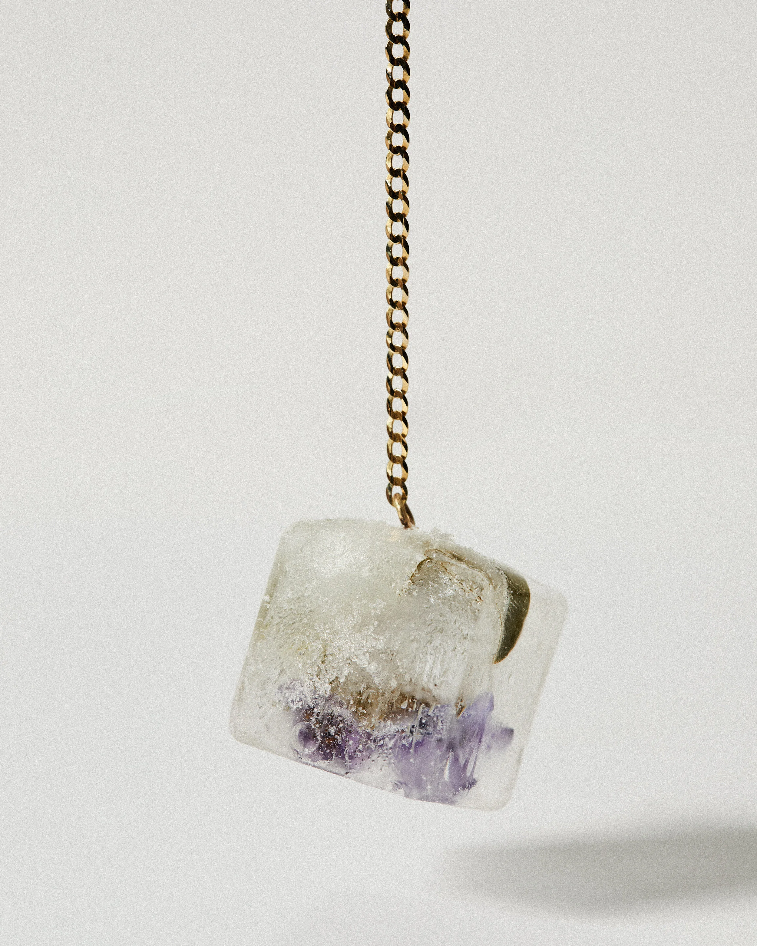 200207_Rosa_Ice _1234.jpg