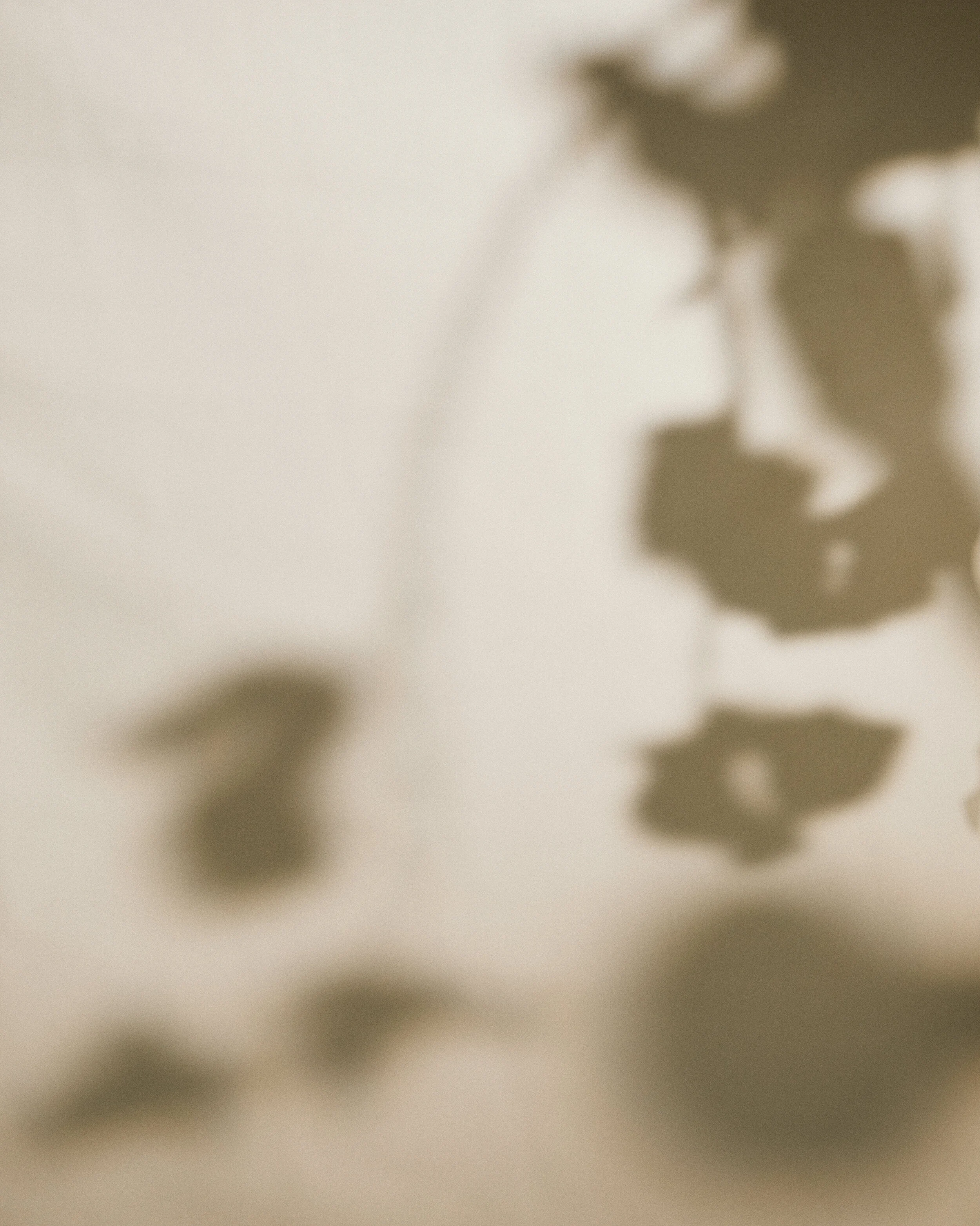 200419_Rosa 0135 1.jpg