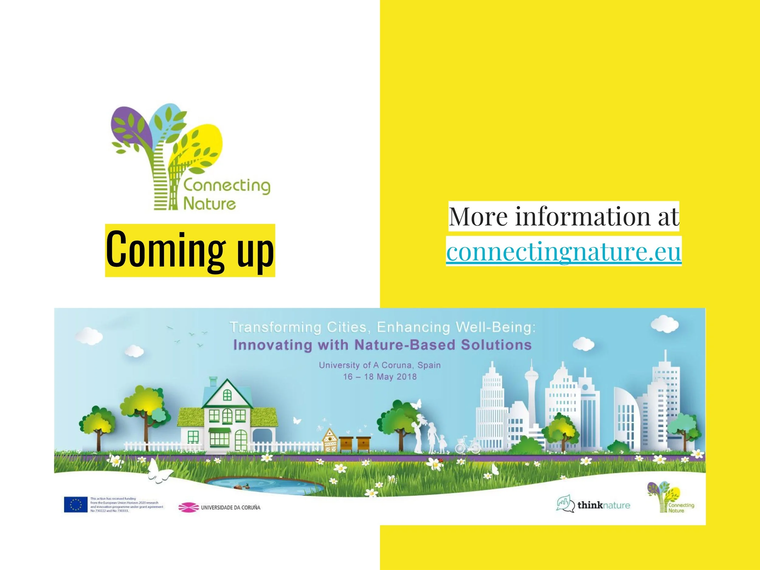 ICLEI NBS Webinar Presentation 18-04-2018 (1) 16-16.jpeg