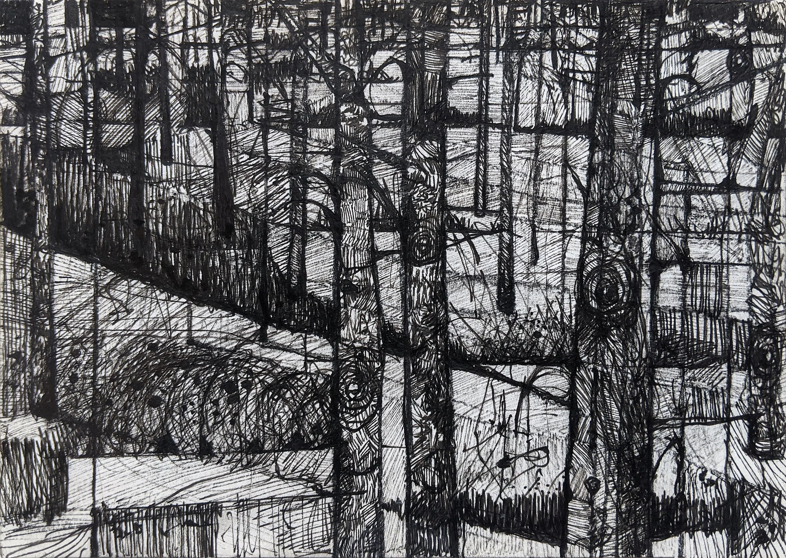 Trees for Field image.jpg