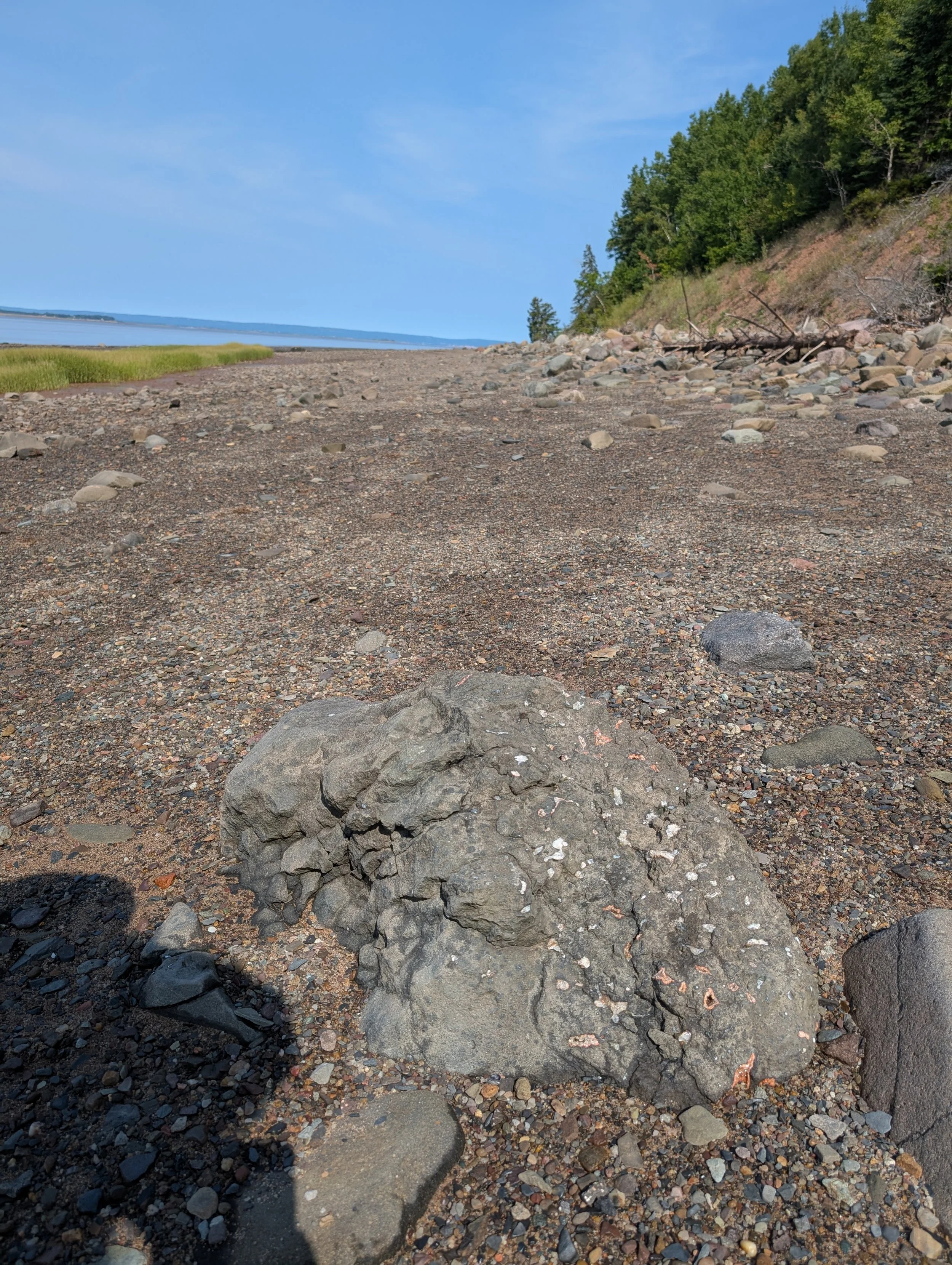 PXL_20250810_135746653.jpg