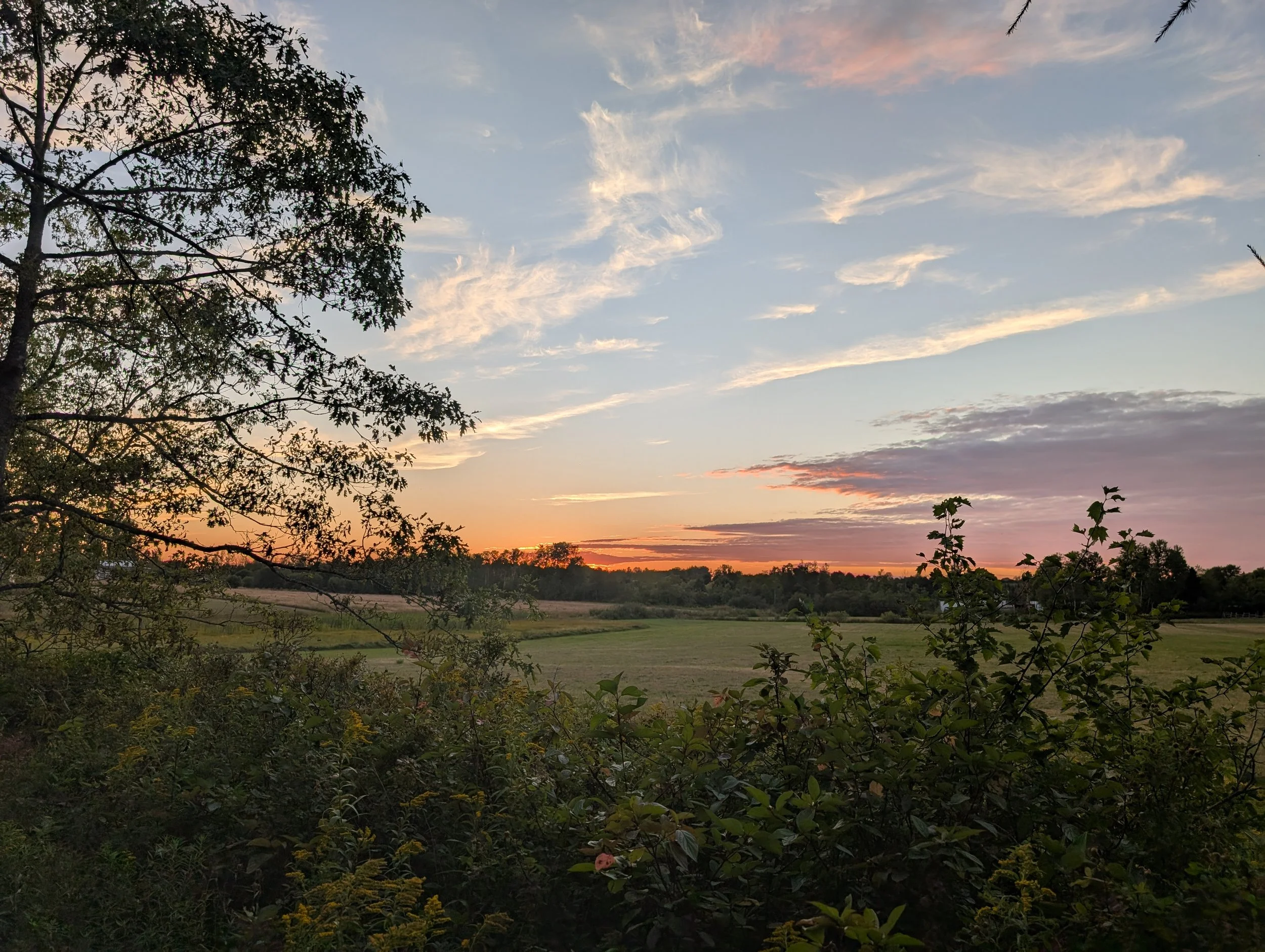 PXL_20250821_230717103.jpg