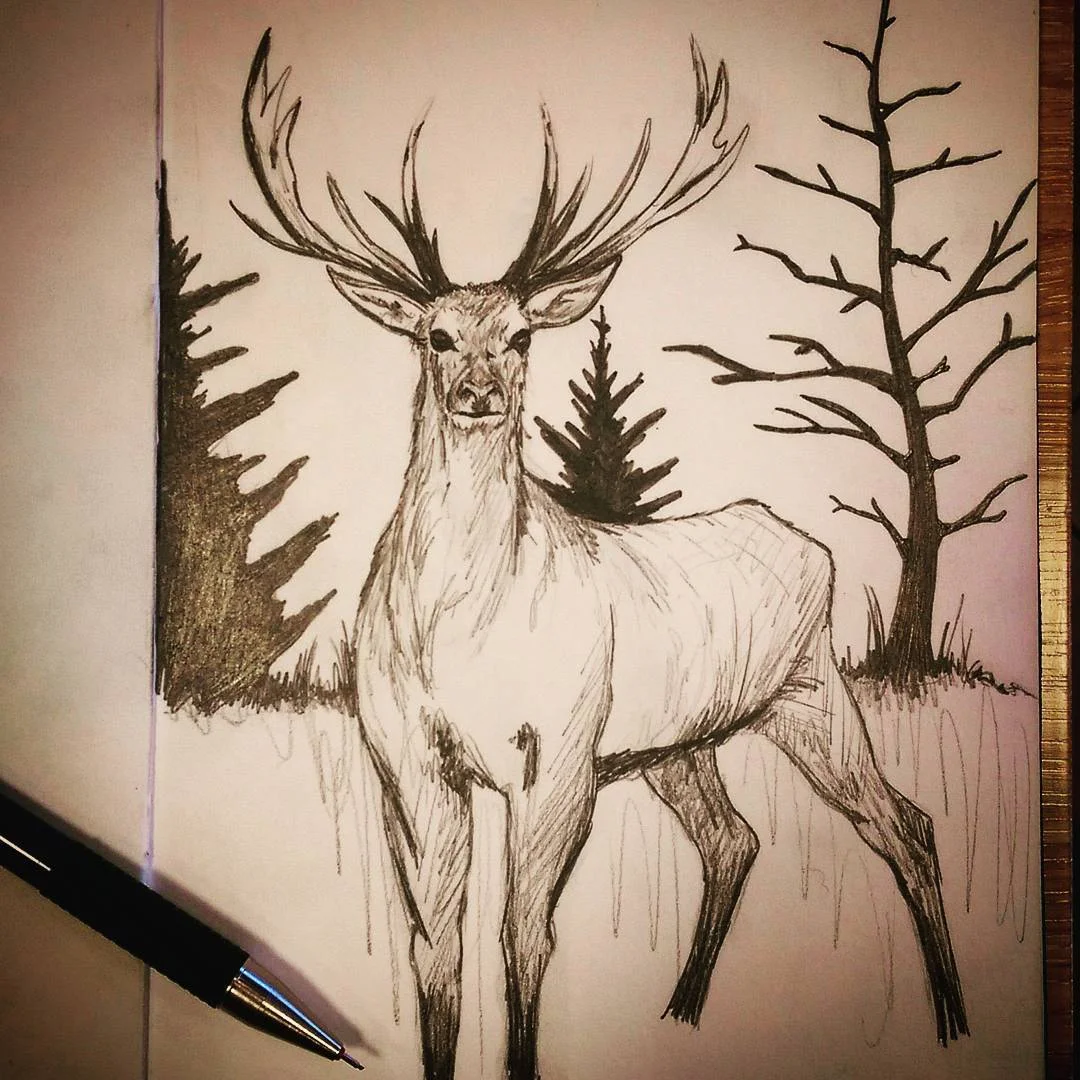 Stag.jpg