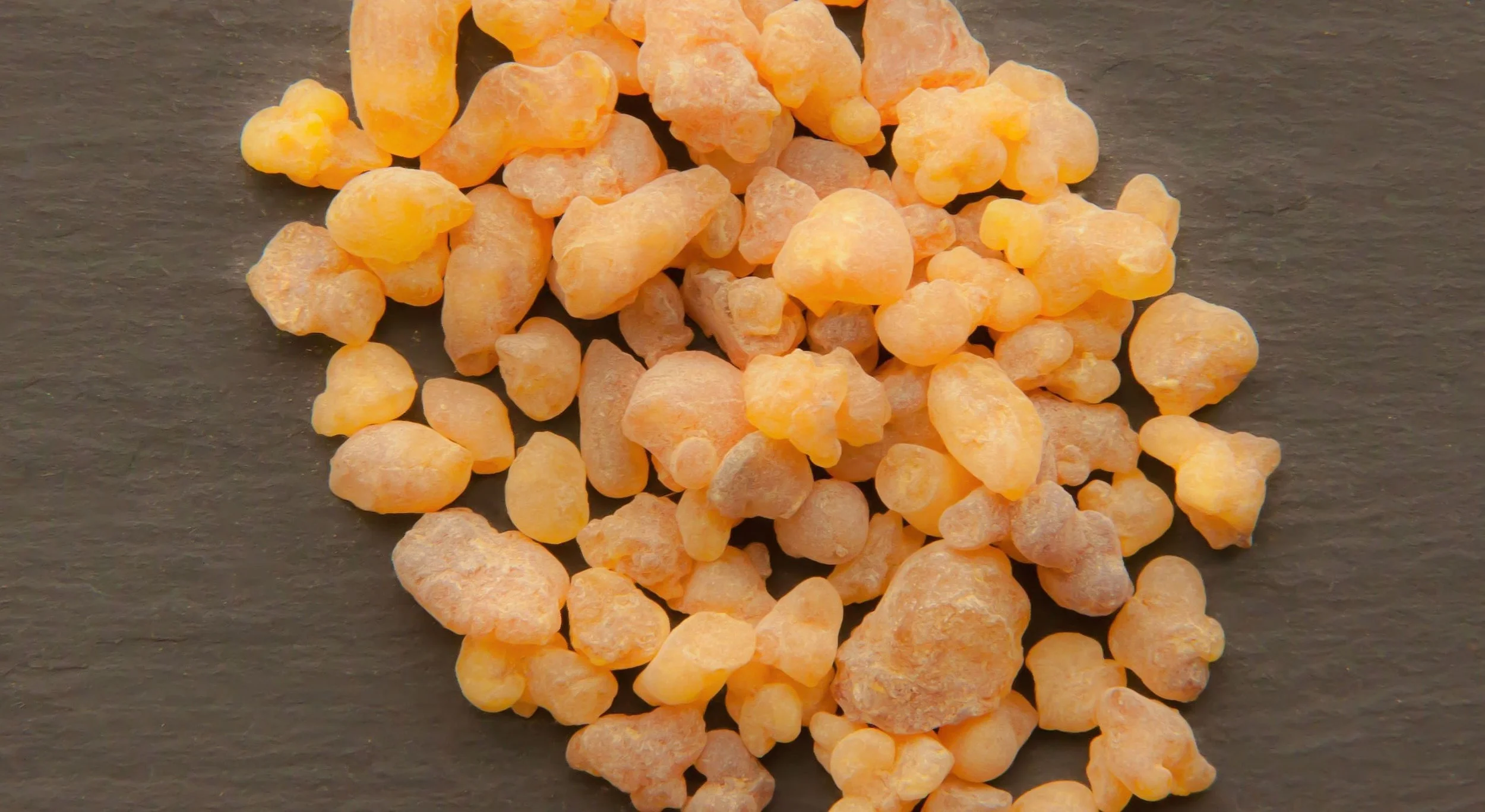 Canva - Boswellia Sacra, Oman, Frankincense, Incense.jpg
