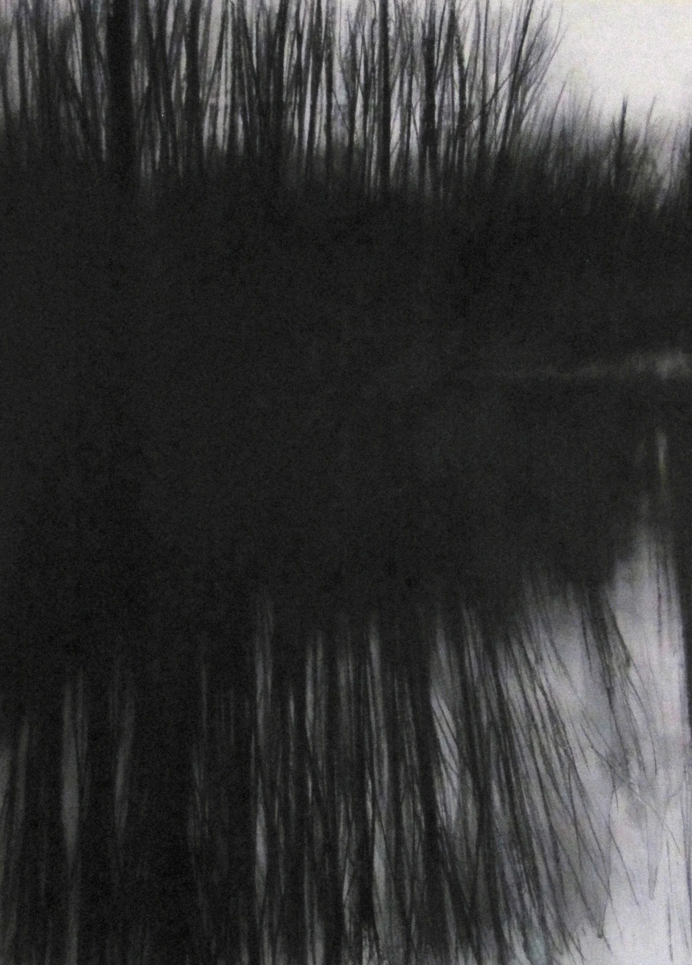 Dark Island - 2016. 458 x 610mm