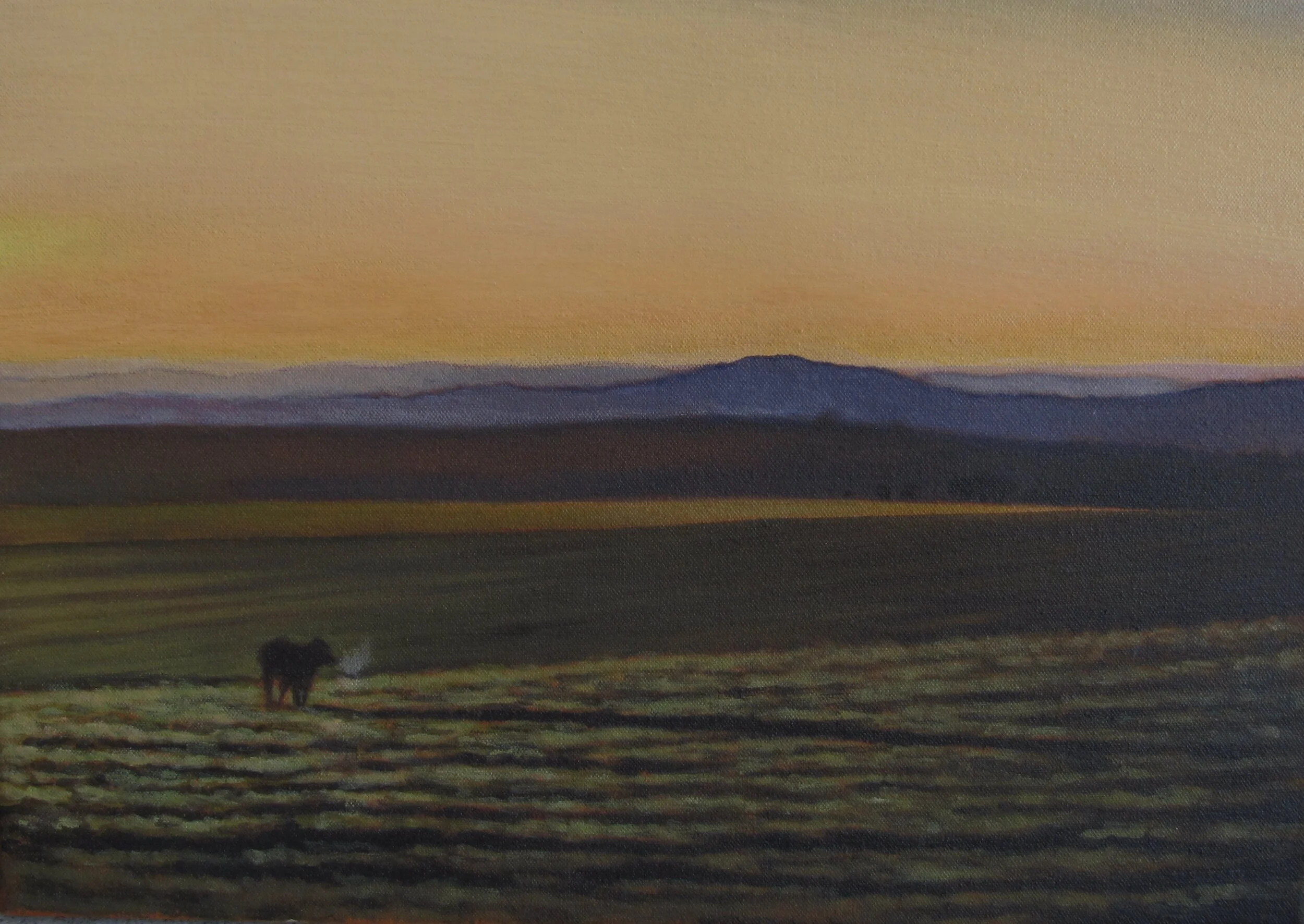 An Evening on The Downs