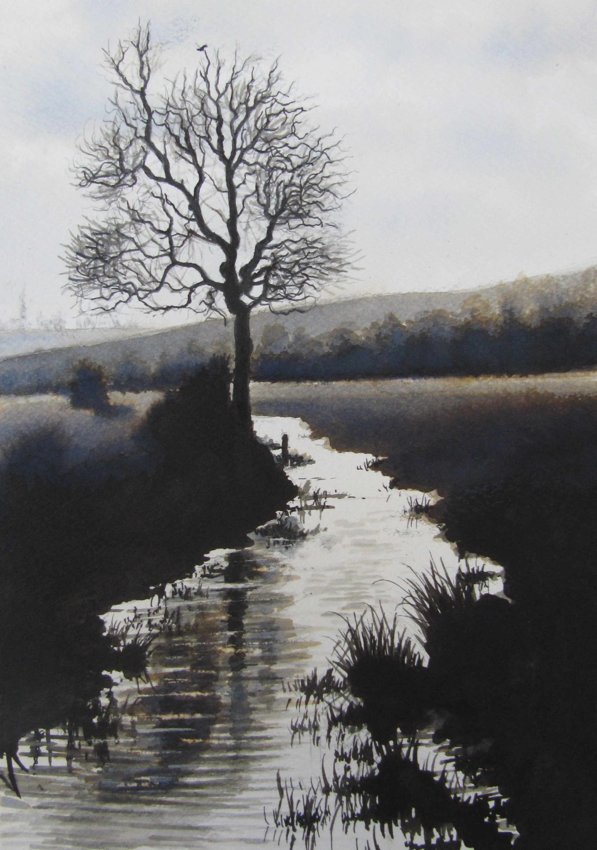 Crow Over a River