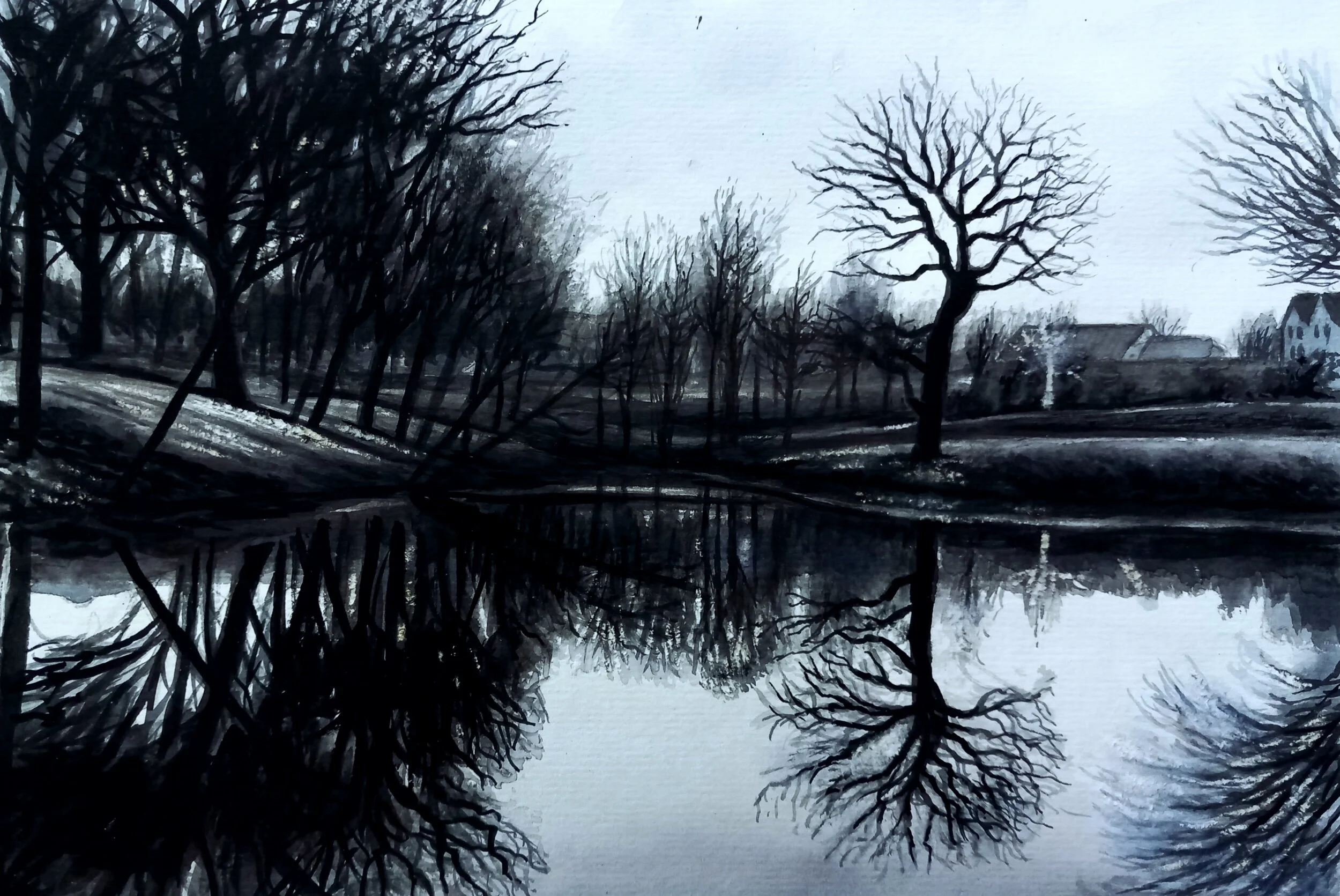 Dark Reflections In A Pond