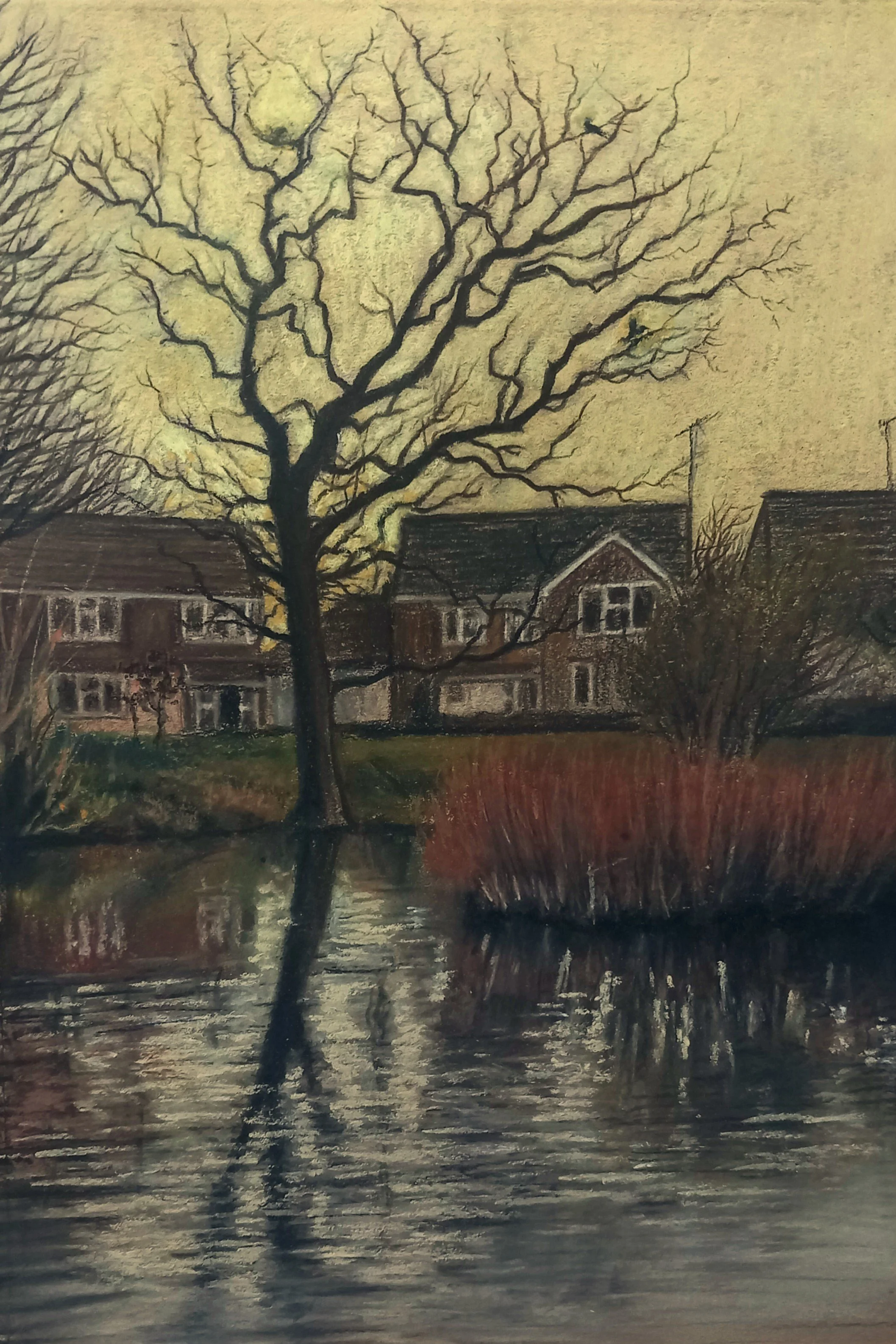 Oak Tree Over a Pond.