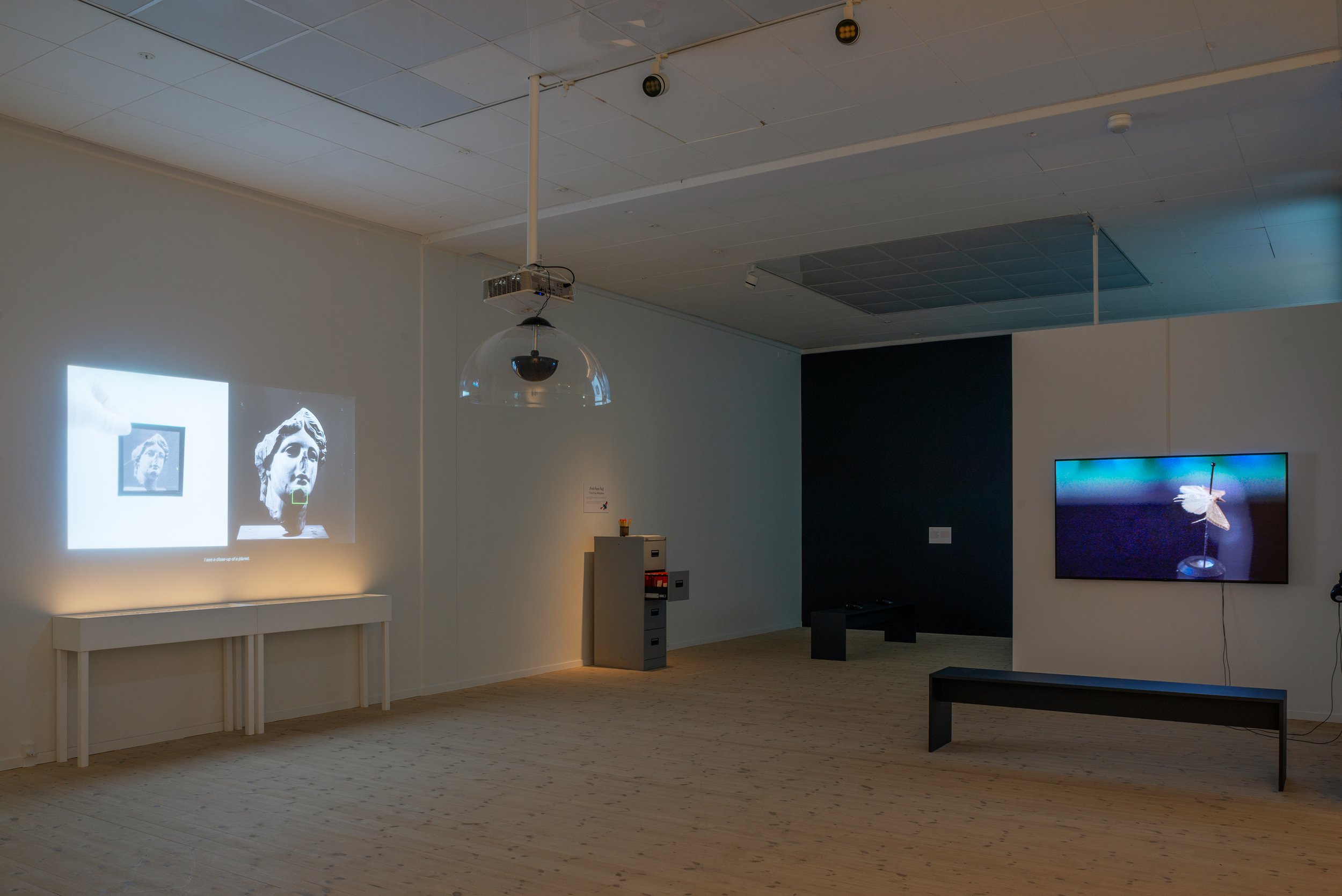 Bugs & Metamorphosis_Kunsthal Aarhus_2025_photo Jacob Friis-Holm Nielsen_JFH0503_sRGB_web.jpg
