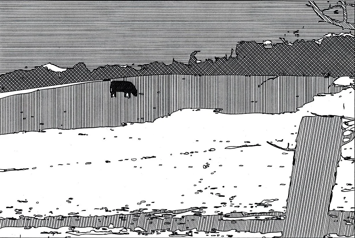 cow-in-field.jpg