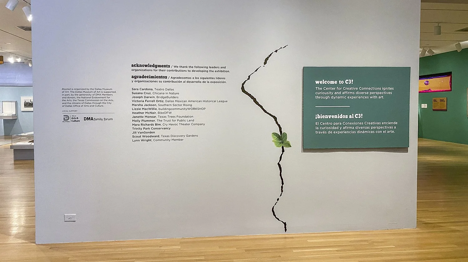 Rooted-5.jpg