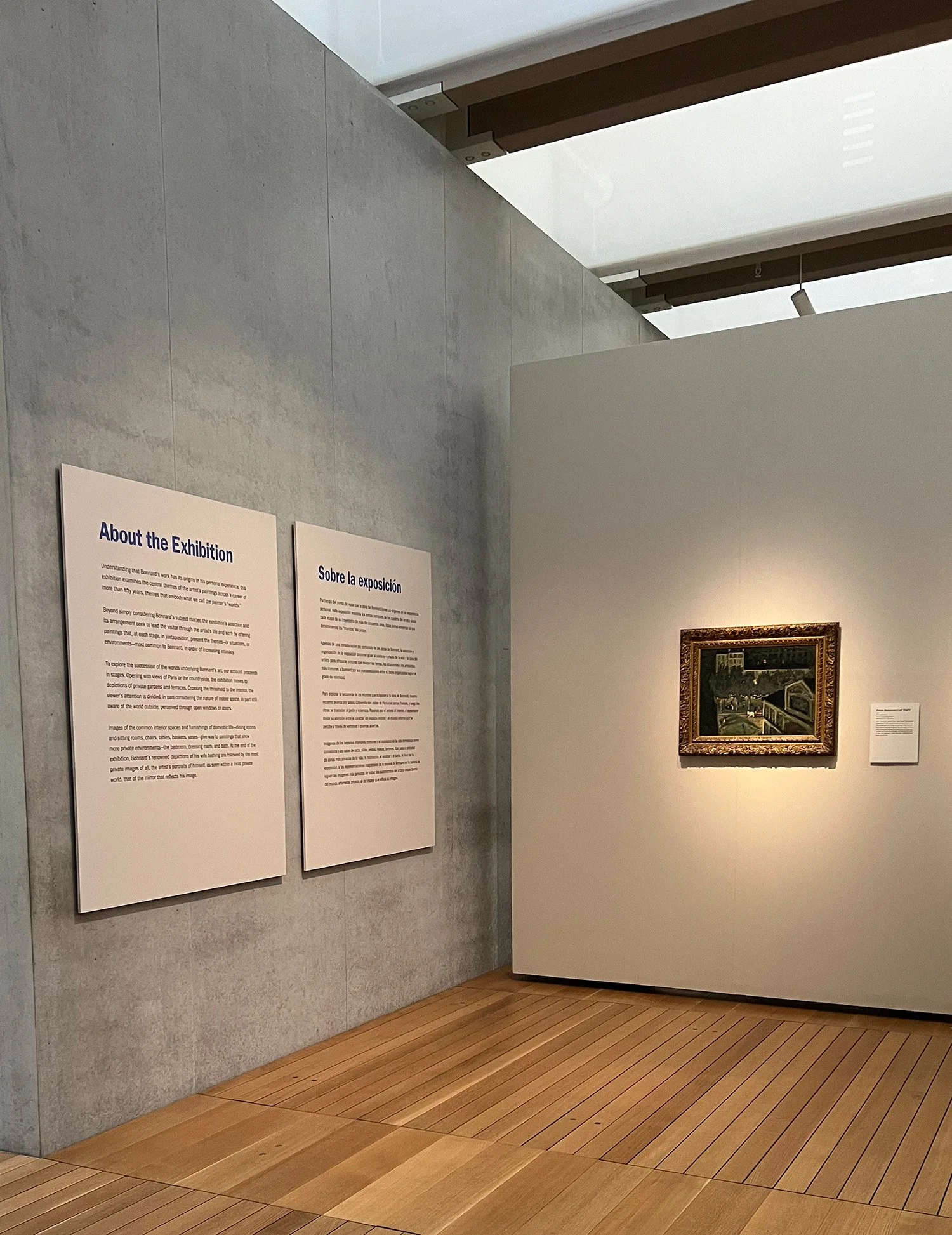 BoldfaceStudio-Kimbell-Bonnard-Exhib-9.jpg