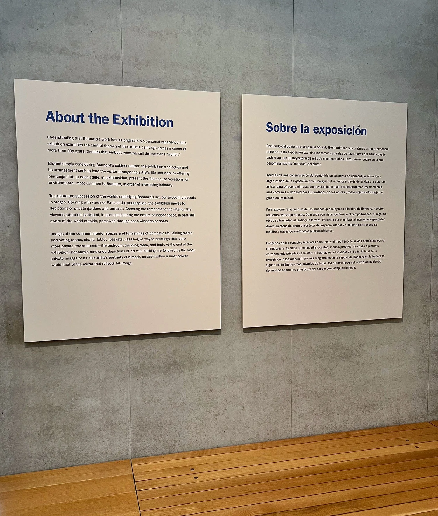 BoldfaceStudio-Kimbell-Bonnard-Exhib-10.jpg